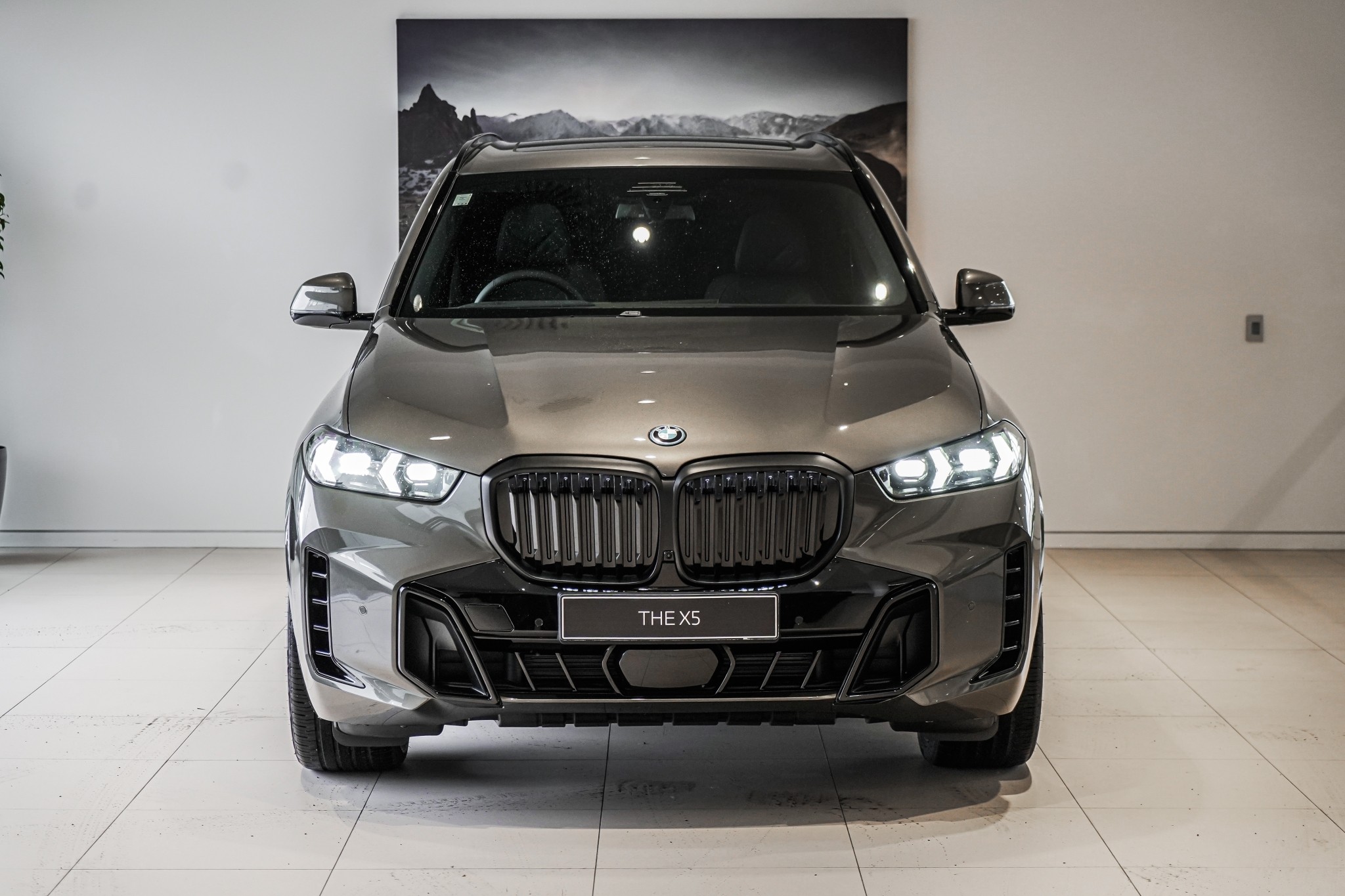 BMW X5 50e xDrive PHEV