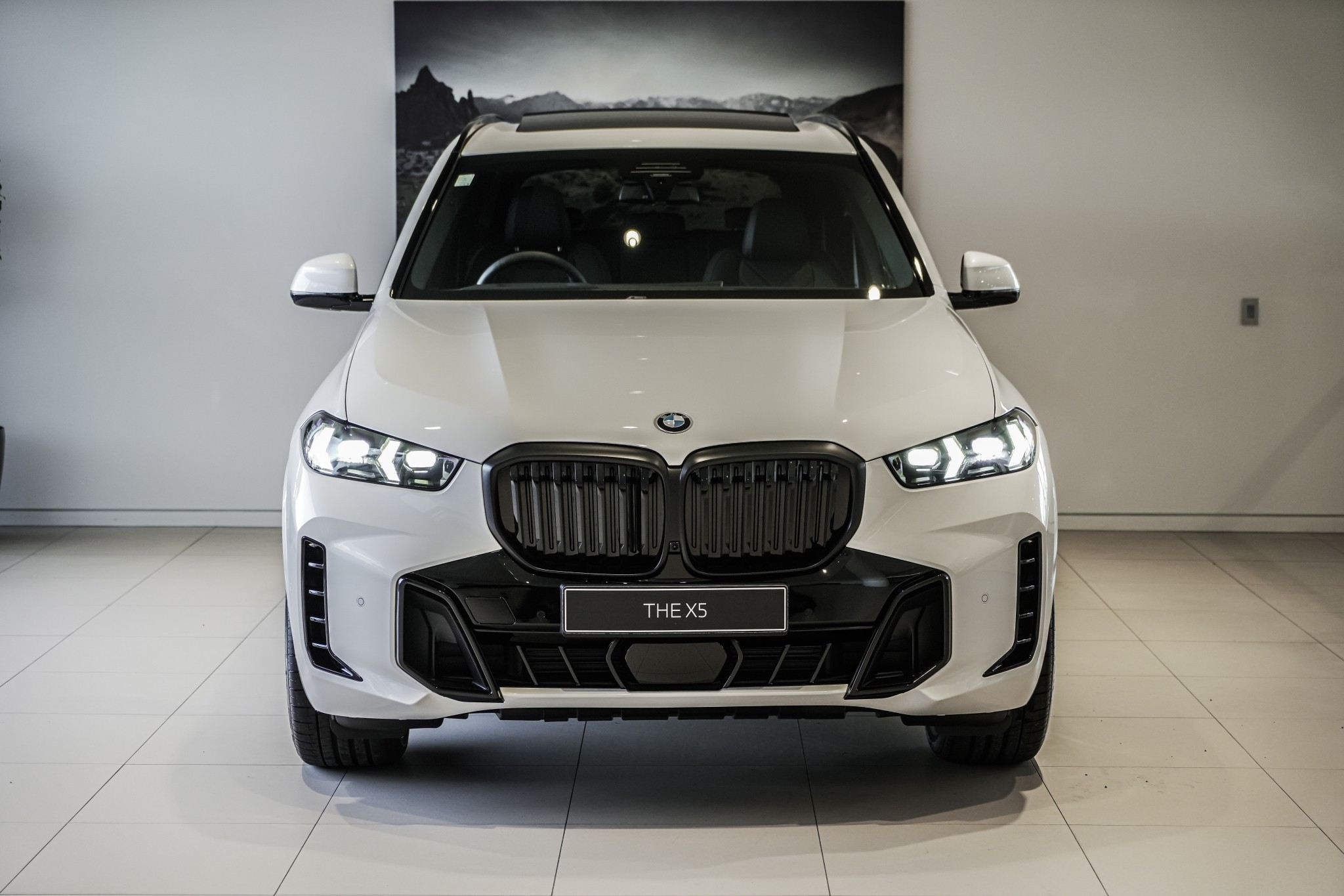 BMW X5 xDrive30d M Sport Pro