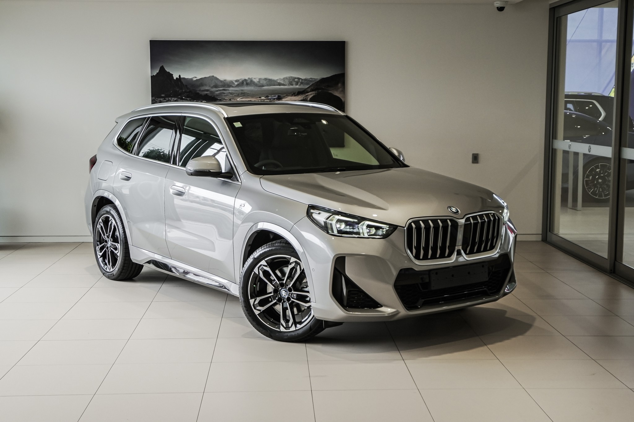 BMW X1 xDrive25e