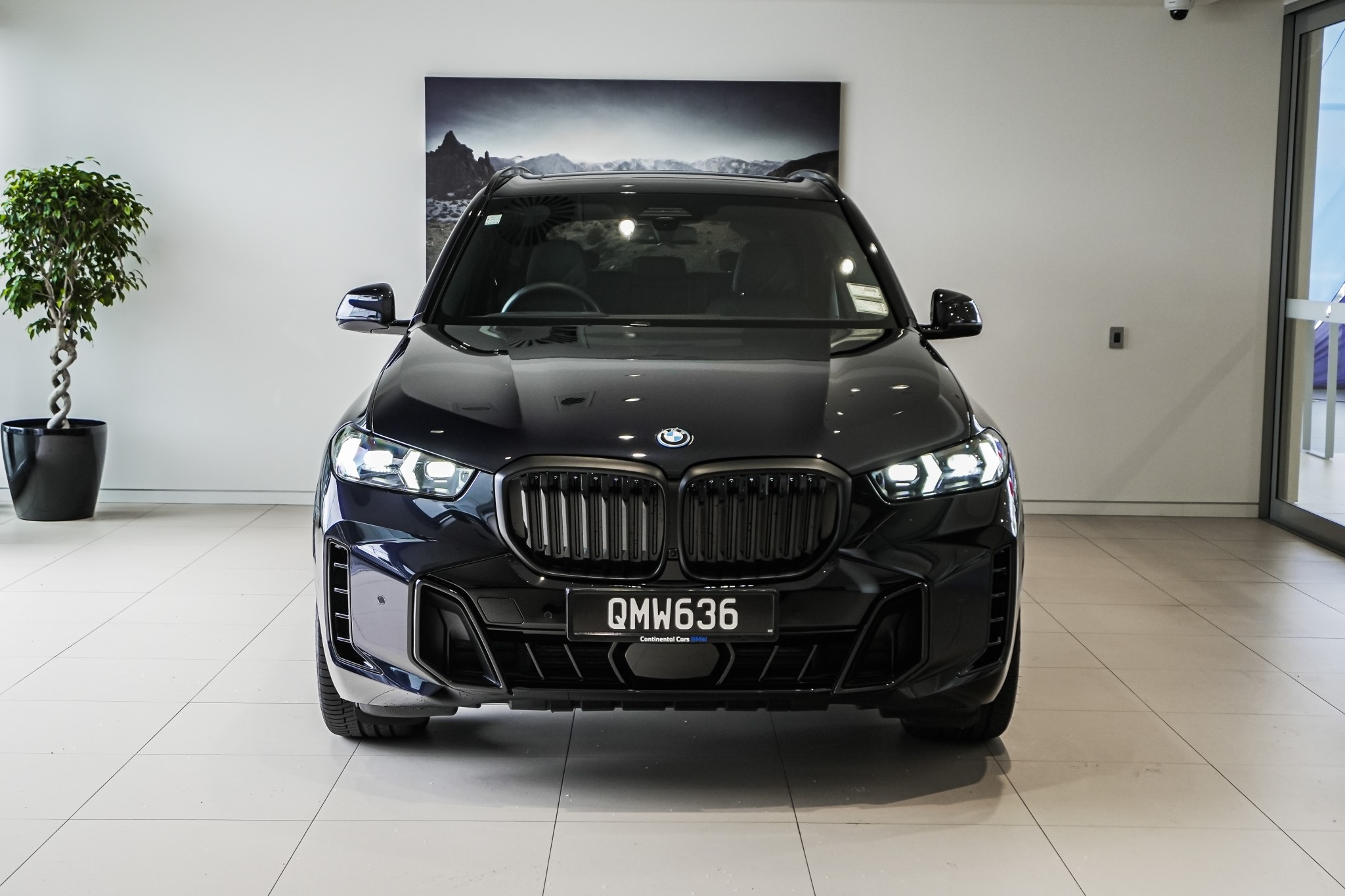 BMW X5 50e xDrive