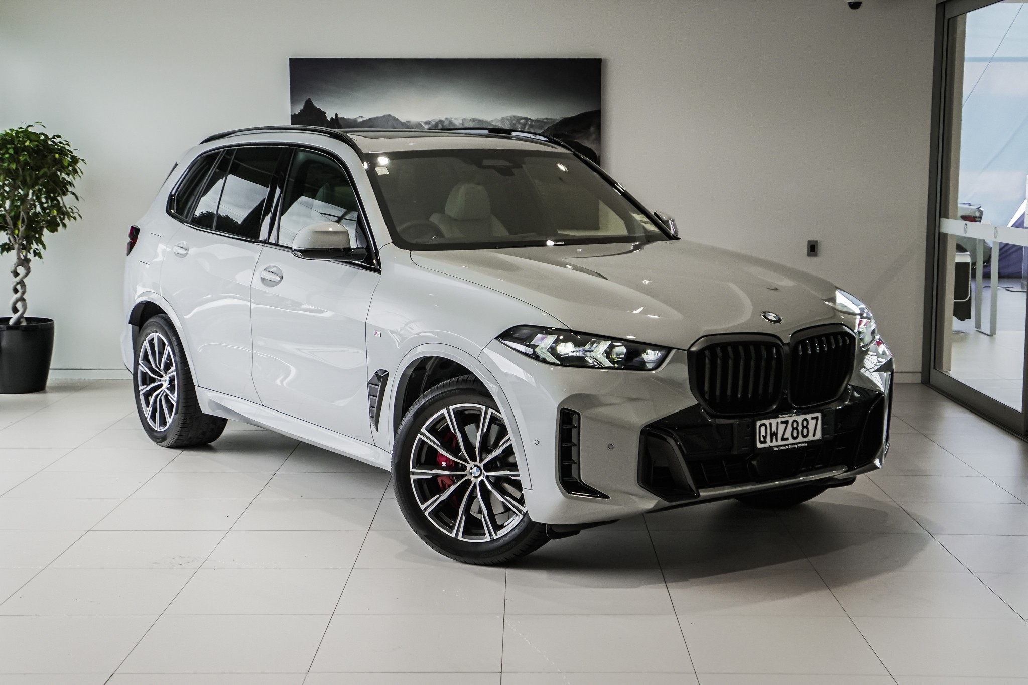 BMW X5 12EV xDrive30d