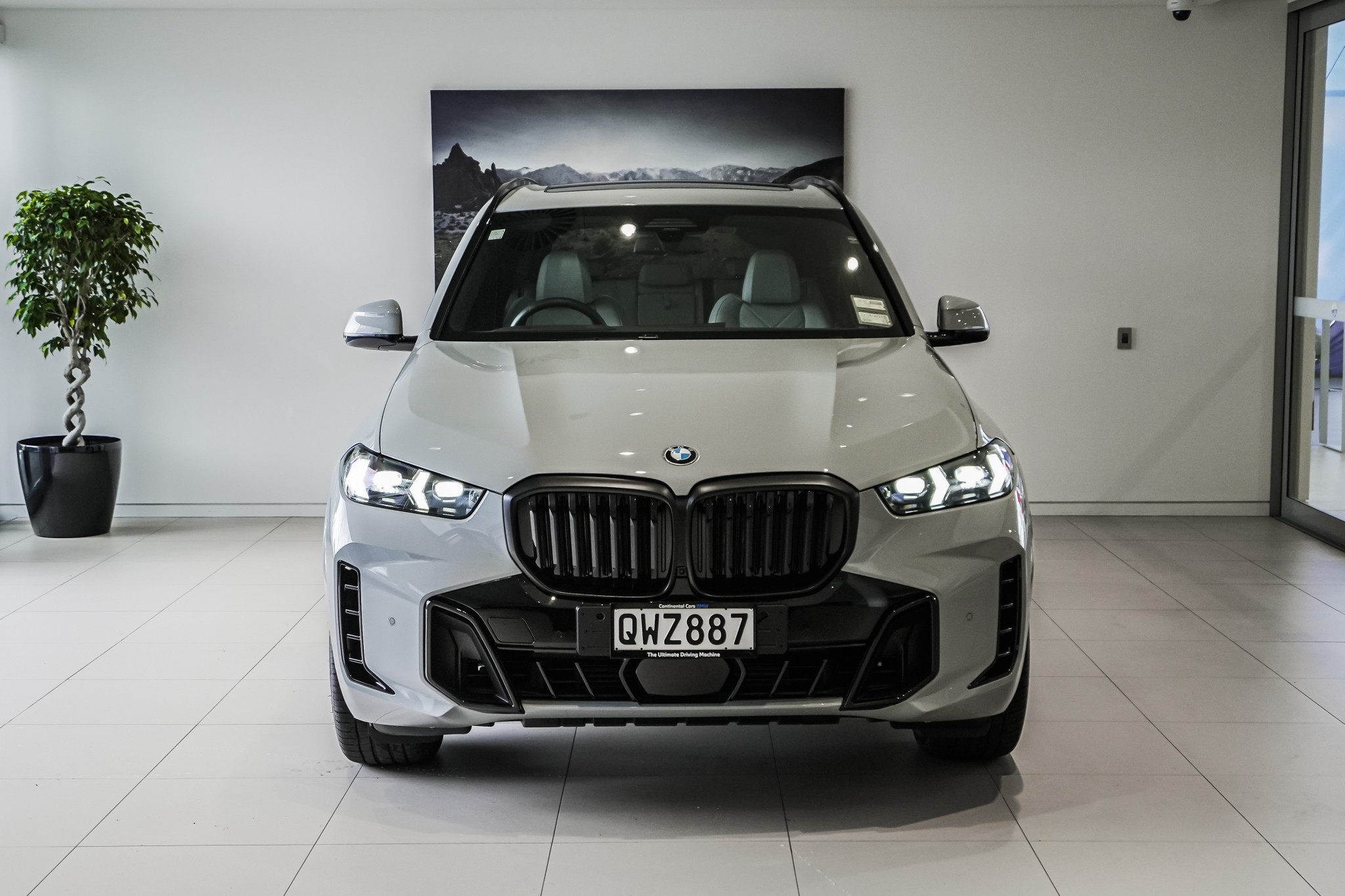 BMW X5 12EV xDrive30d