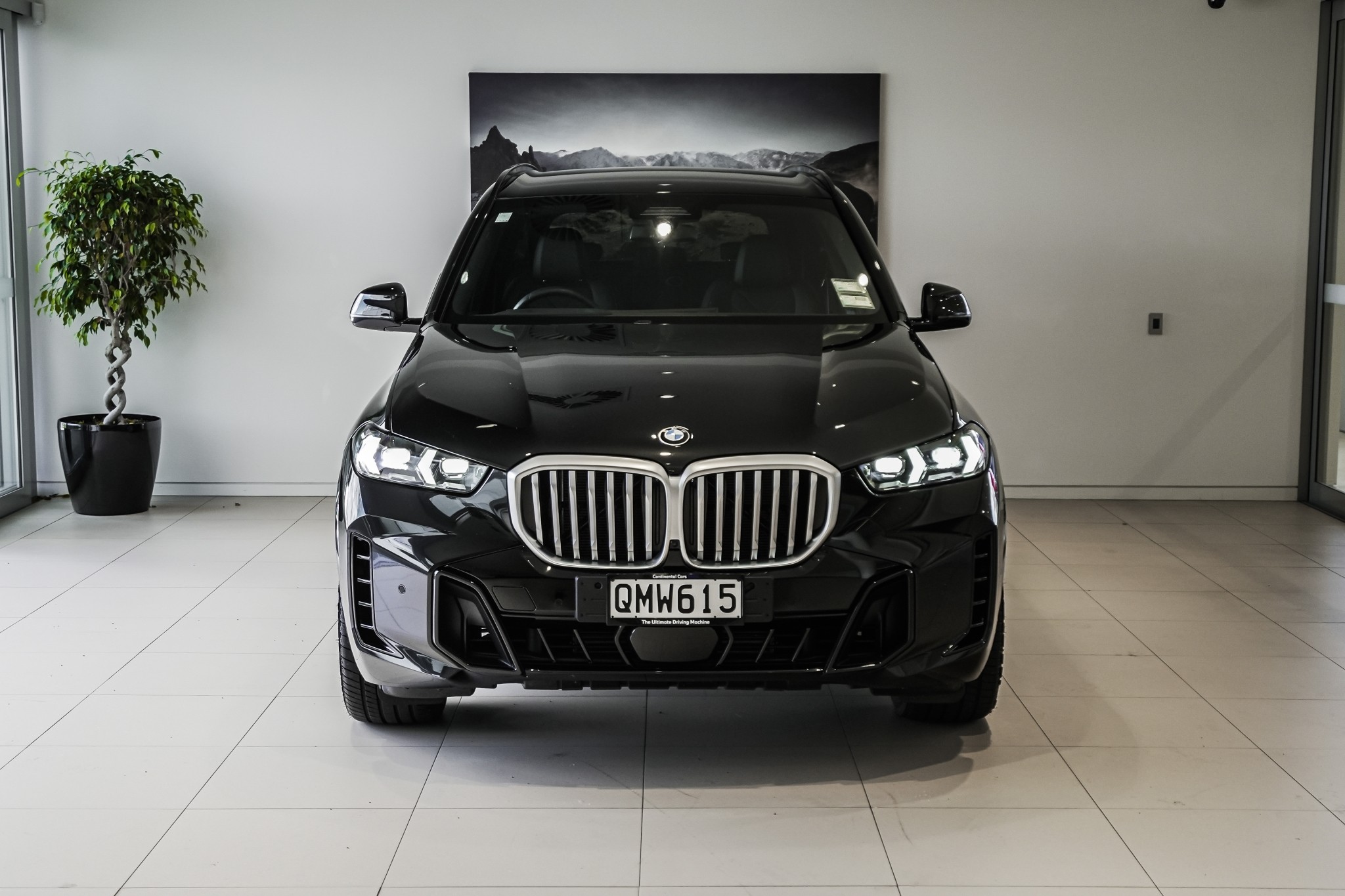 BMW X5 xDrive30d M Sport Innovations