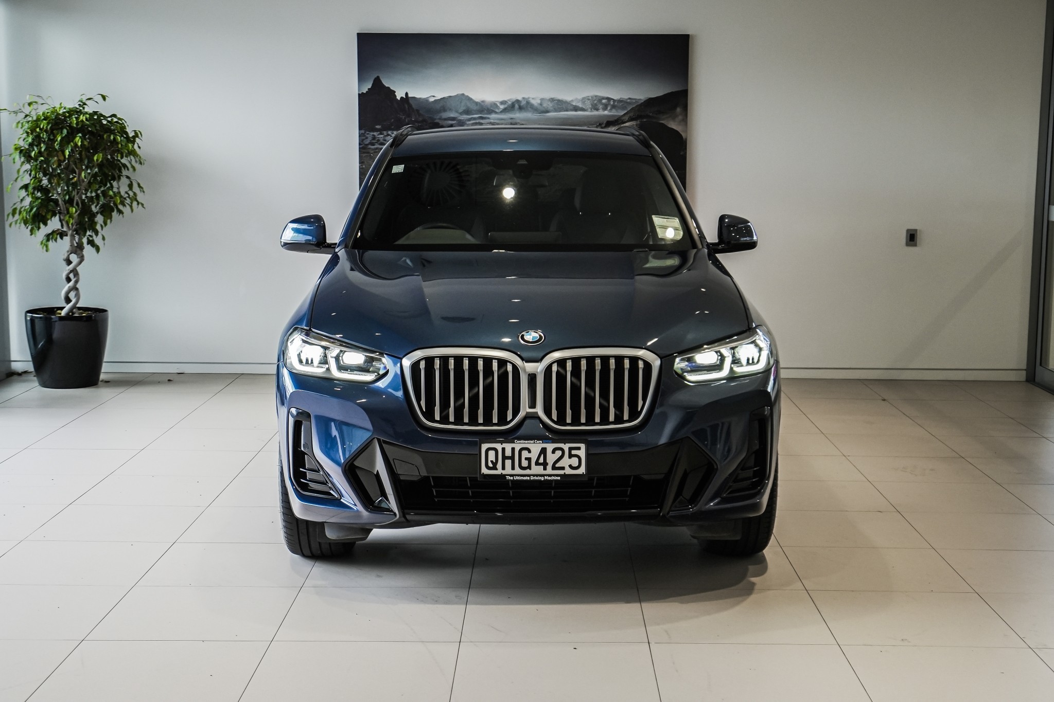 BMW X3 xDrive20d SE