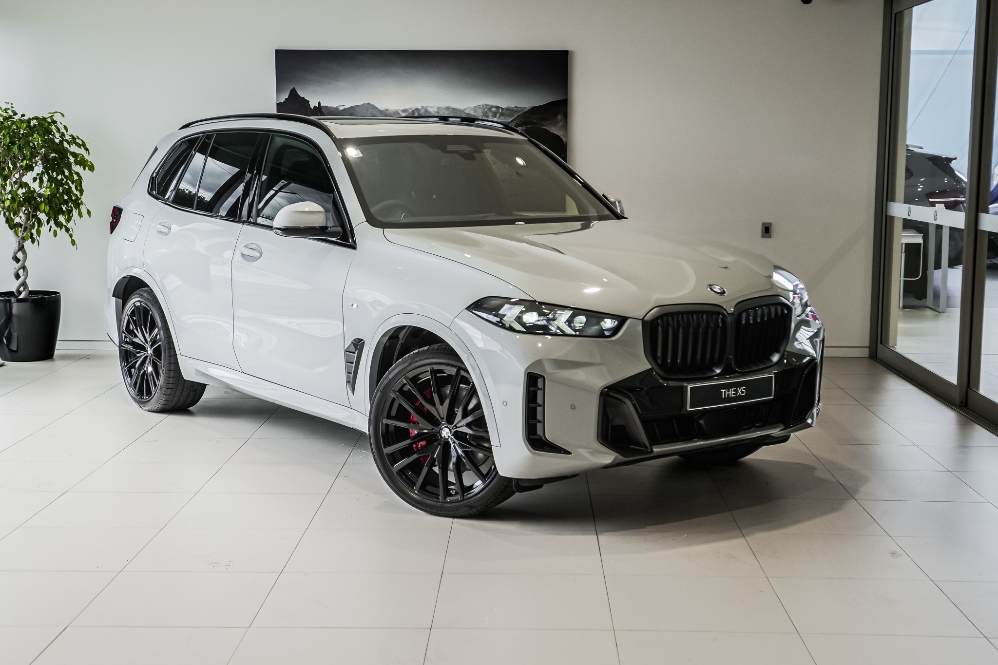 BMW X5 xDrive30d