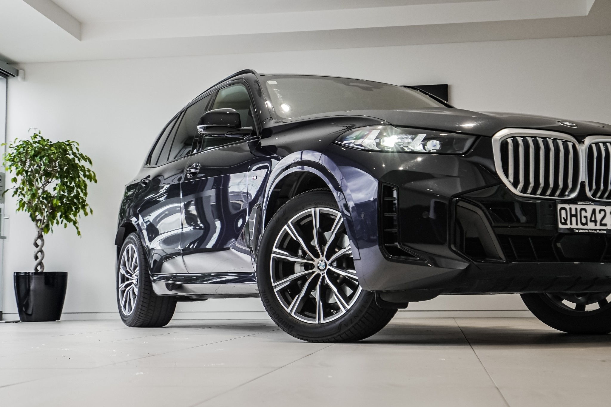 BMW X5 xDrive30d X Line