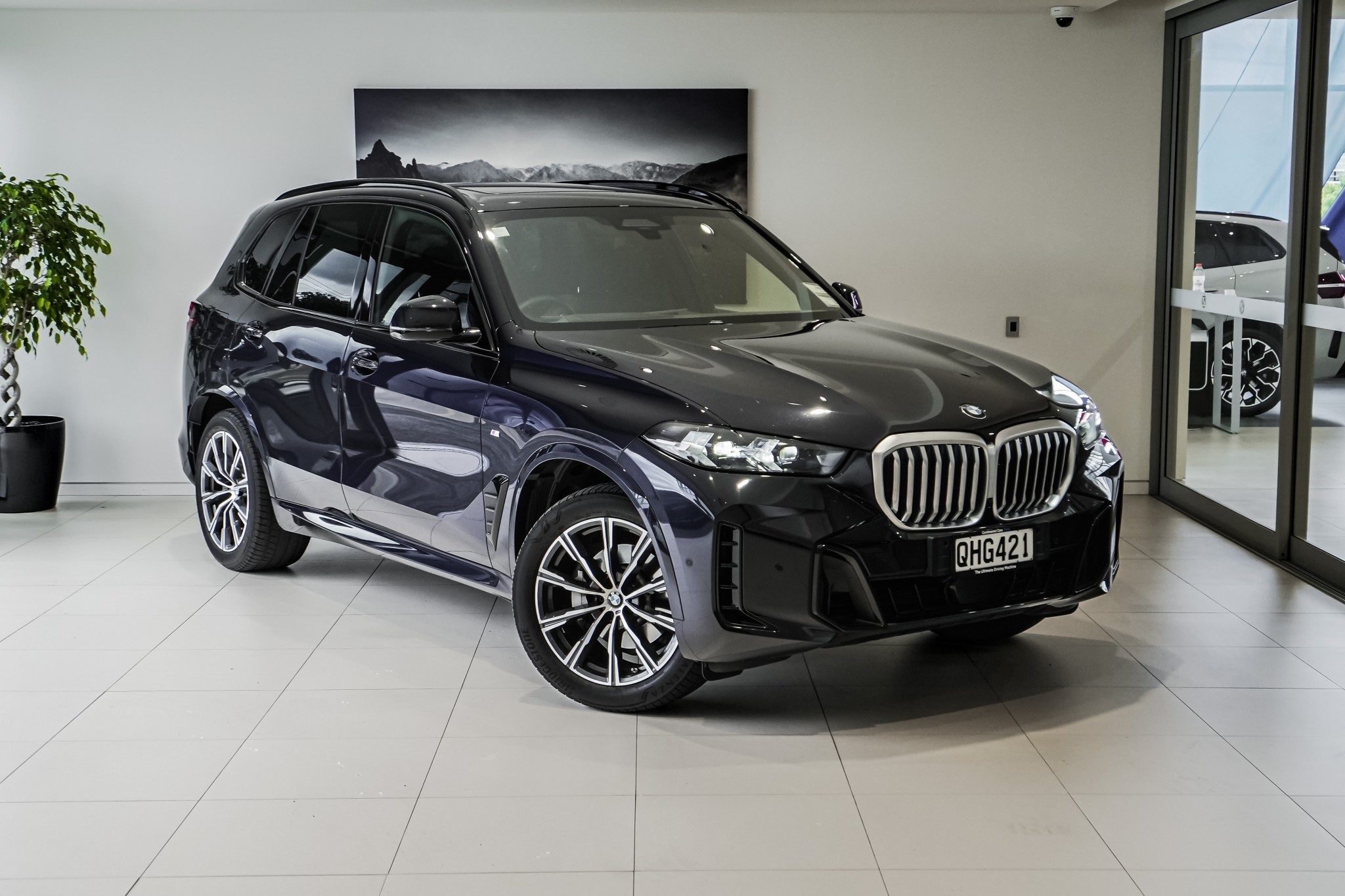 BMW X5 xDrive30d X Line