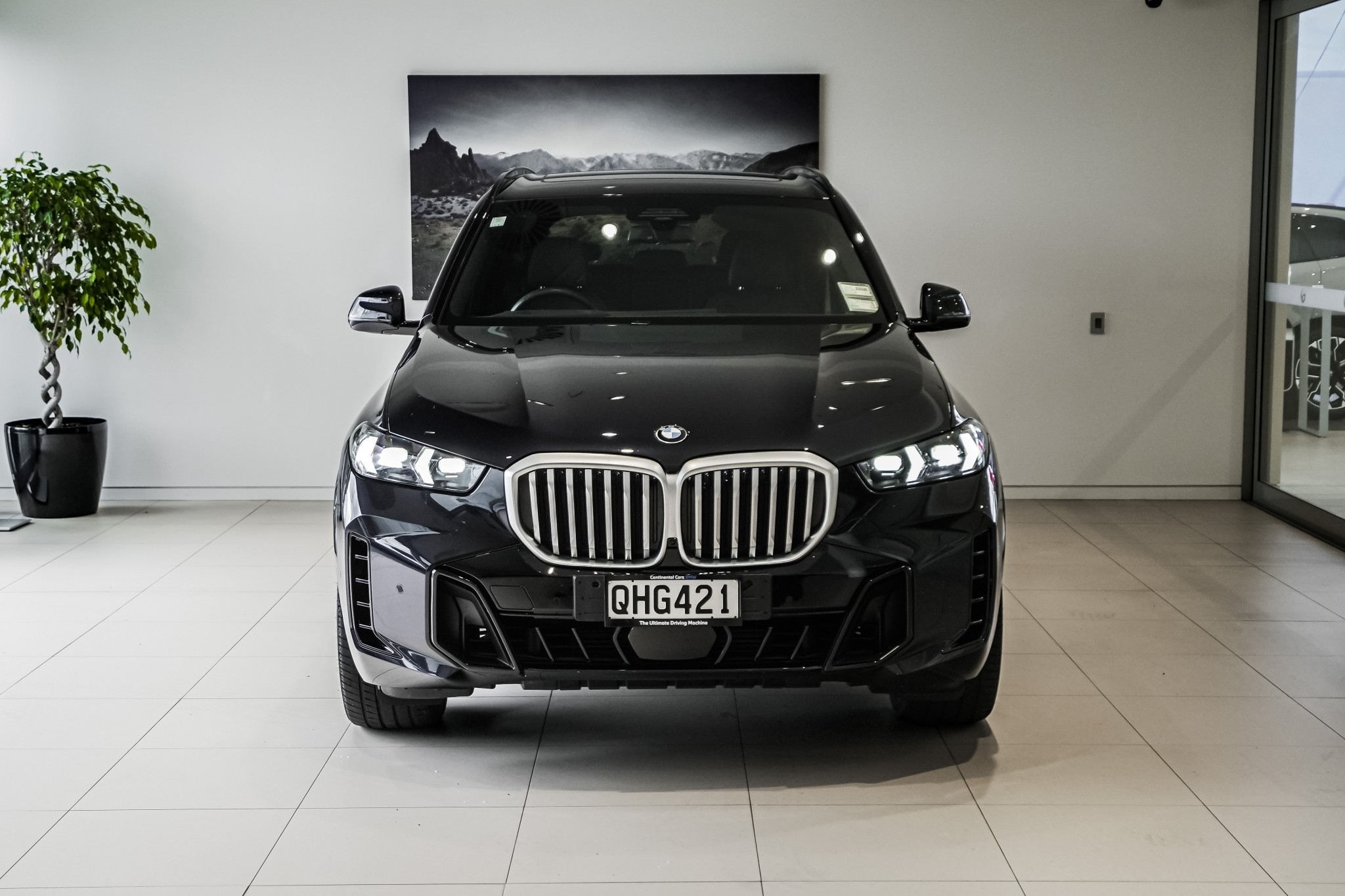 BMW X5 xDrive30d X Line