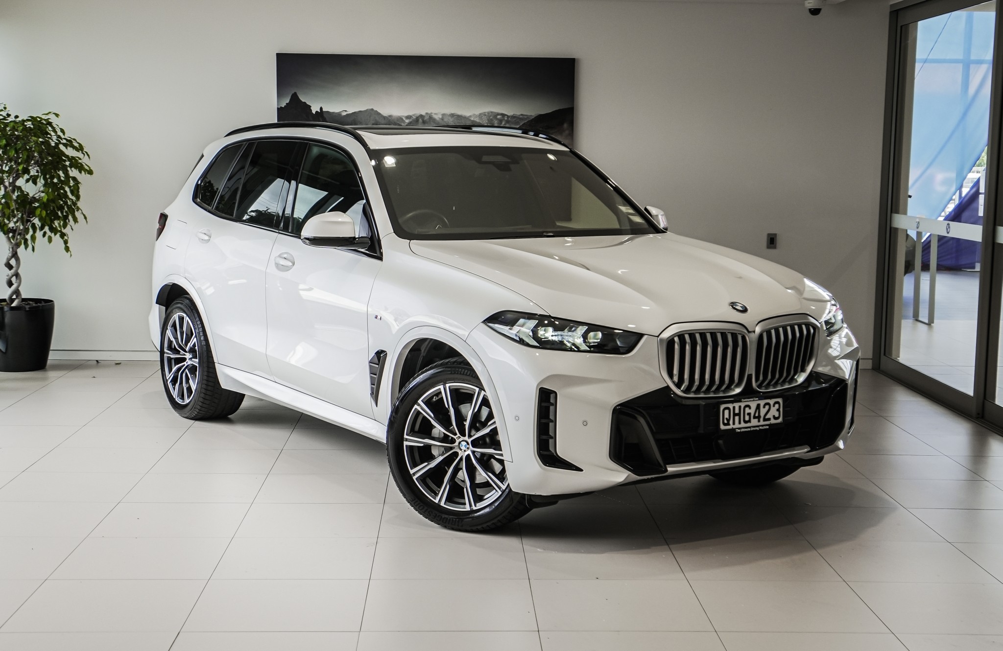 BMW X5 xDrive30d X Line