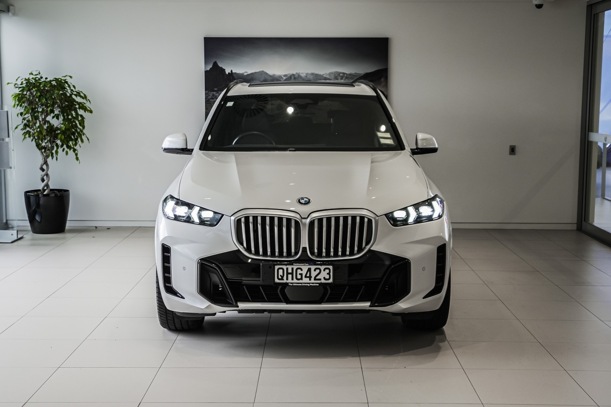 BMW X5 xDrive30d X Line