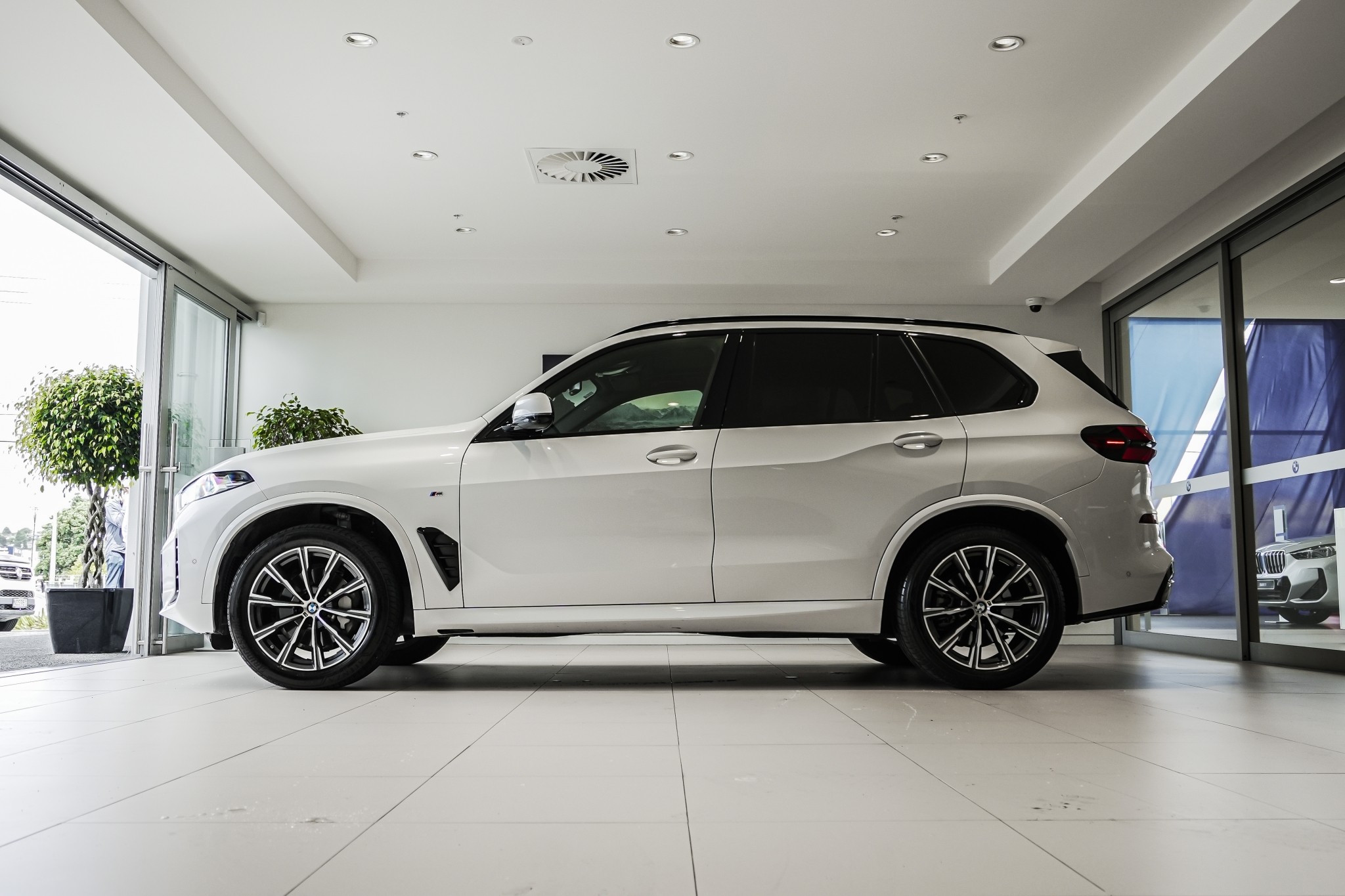 BMW X5 xDrive30d X Line