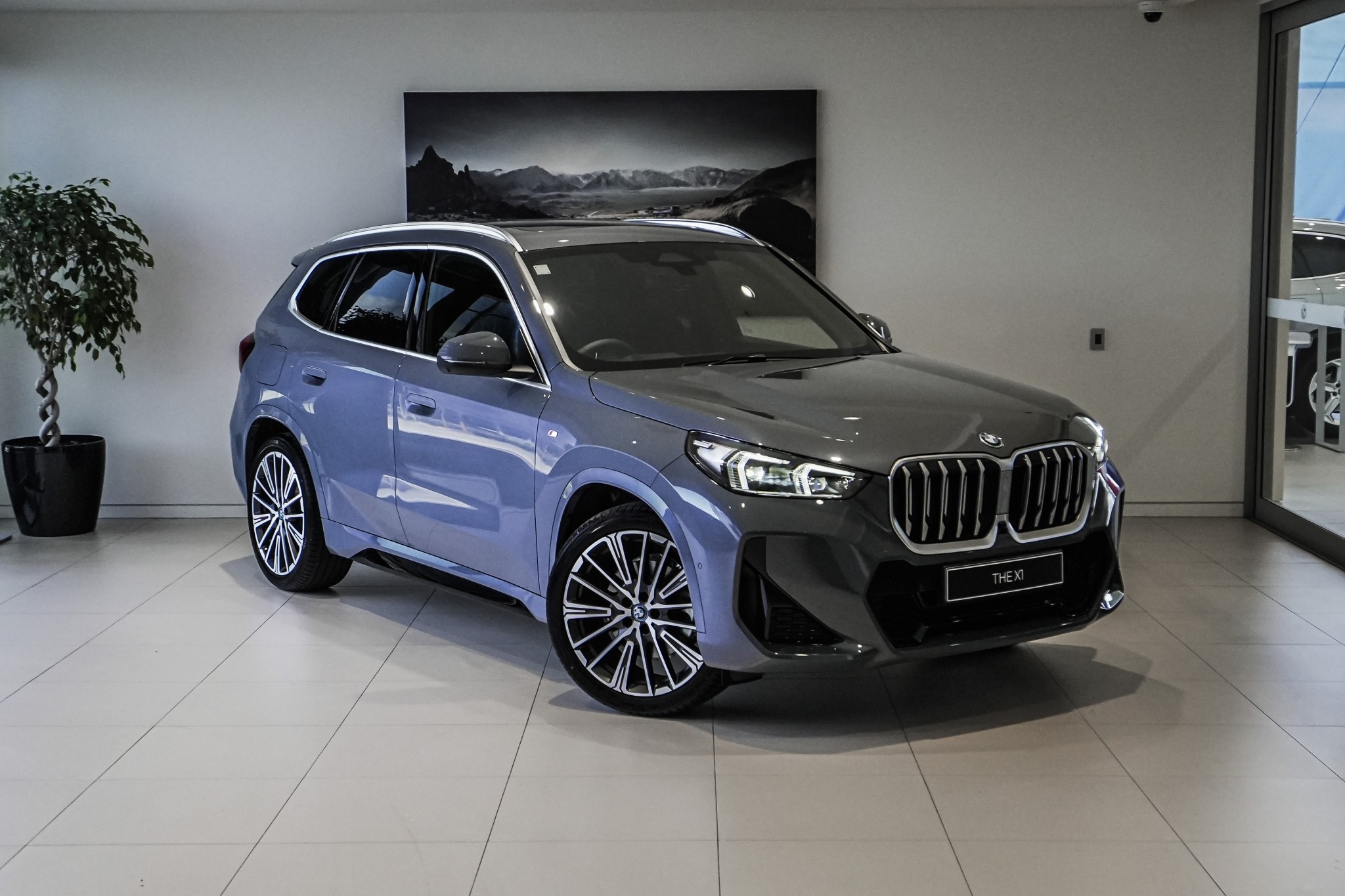 BMW X1 xDrive25e