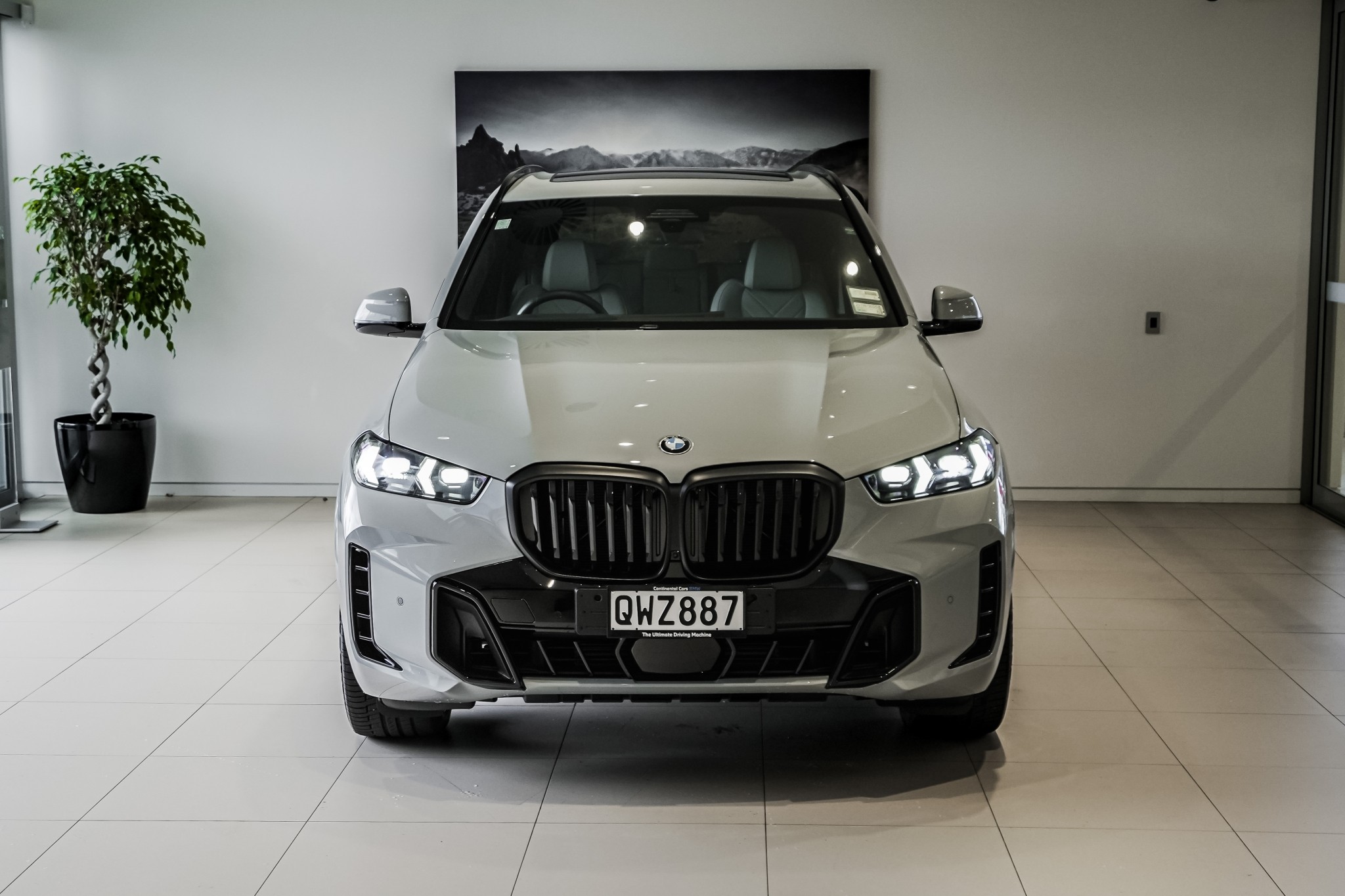 BMW X5 xDrive30 M-sport