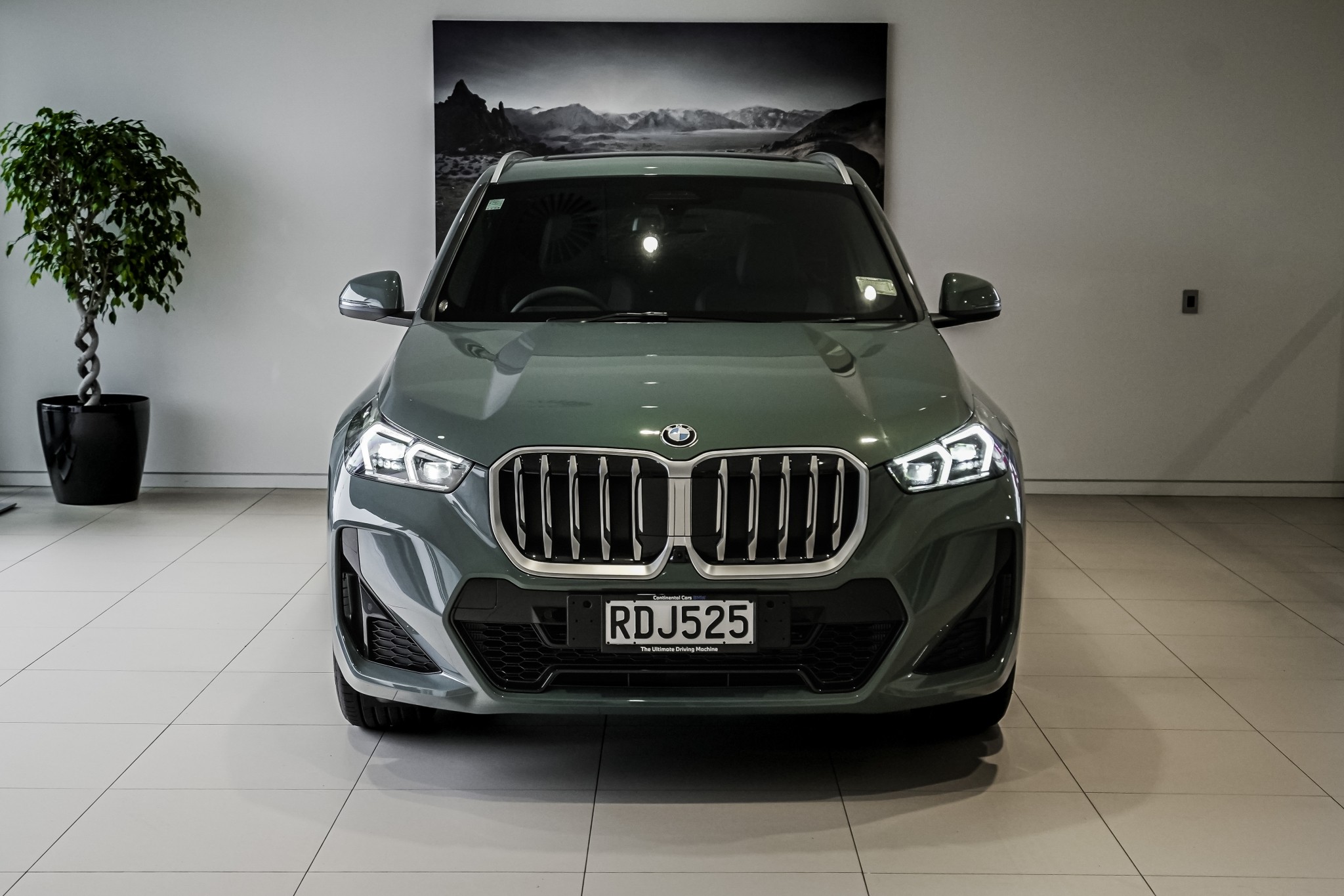 BMW X1 18i sDrive