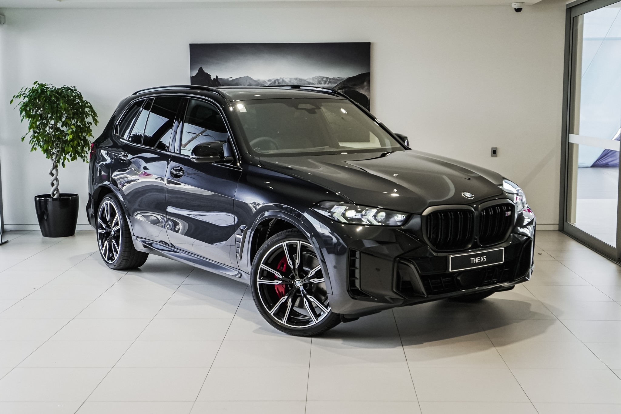 BMW X5 M60i