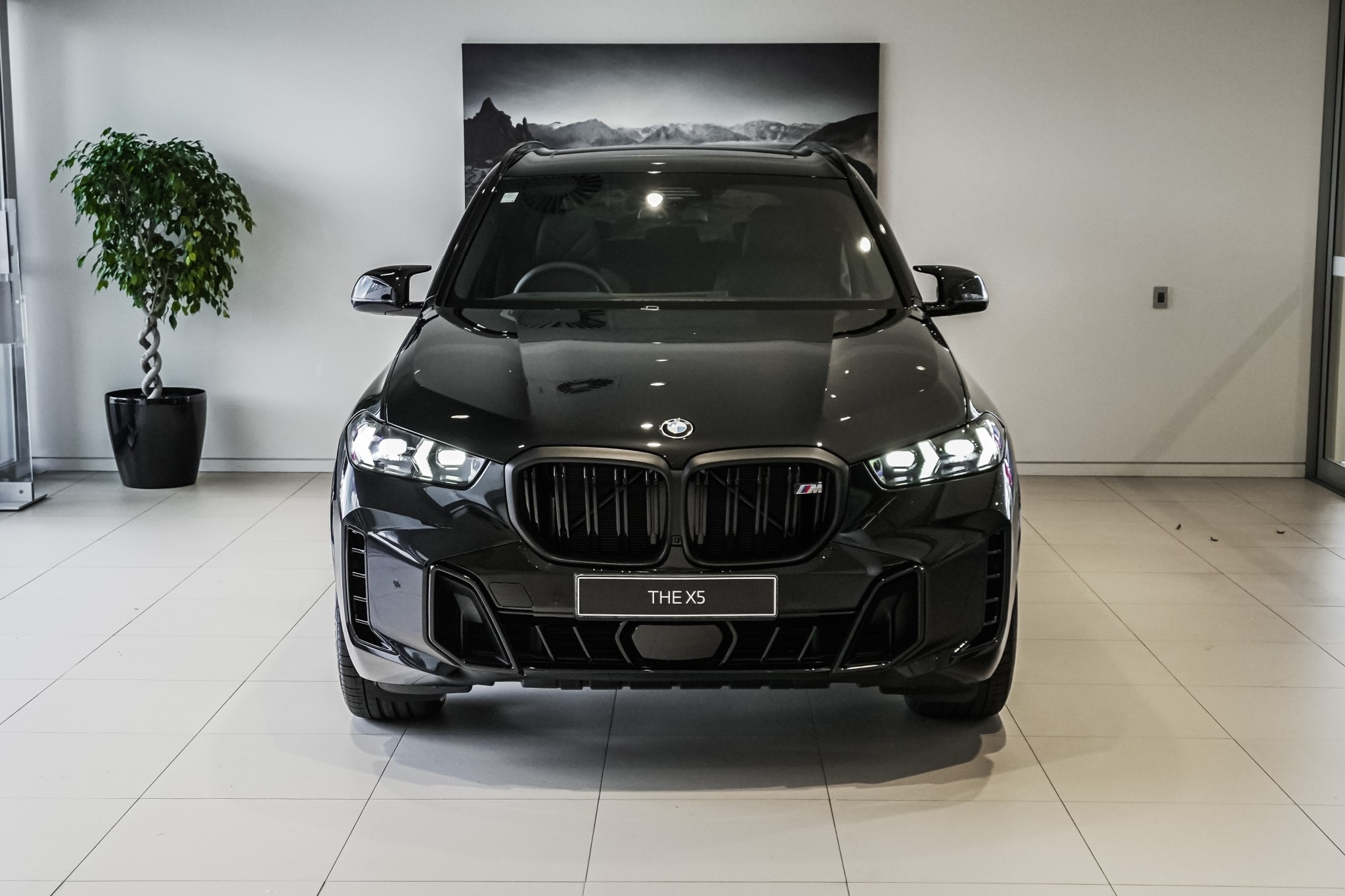 BMW X5 M60i