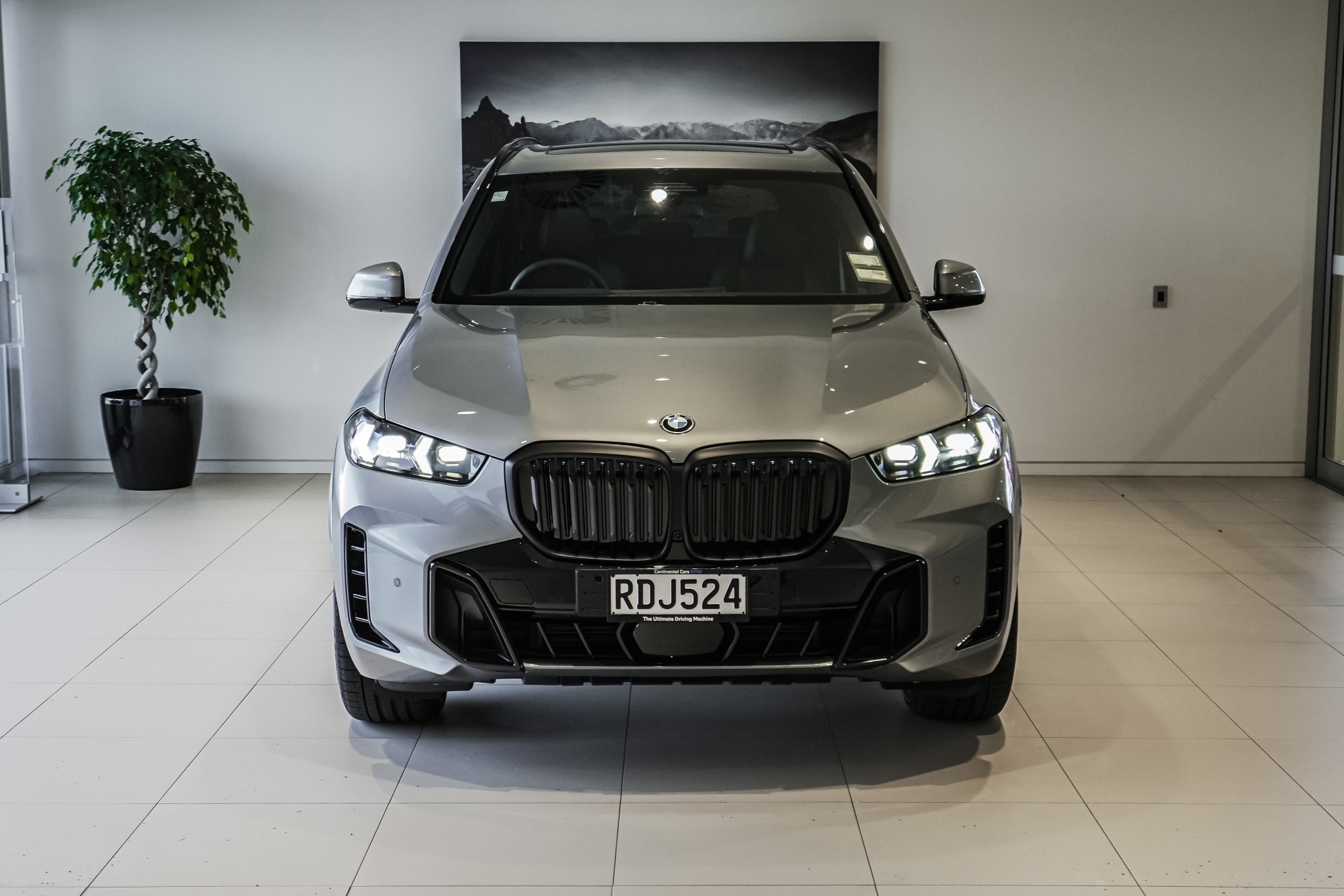 BMW X5 xDrive30d