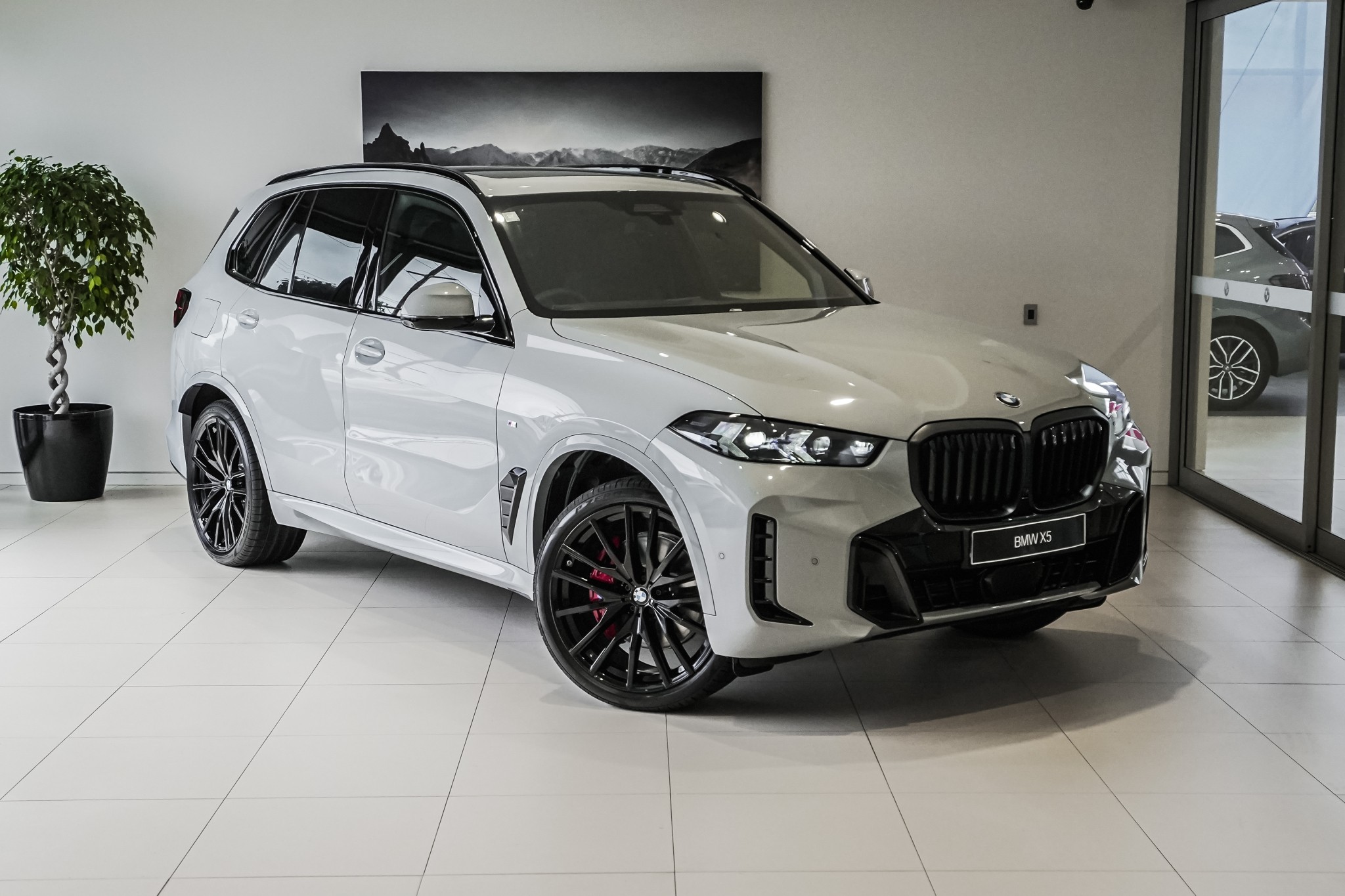 BMW X5 xDrive30d