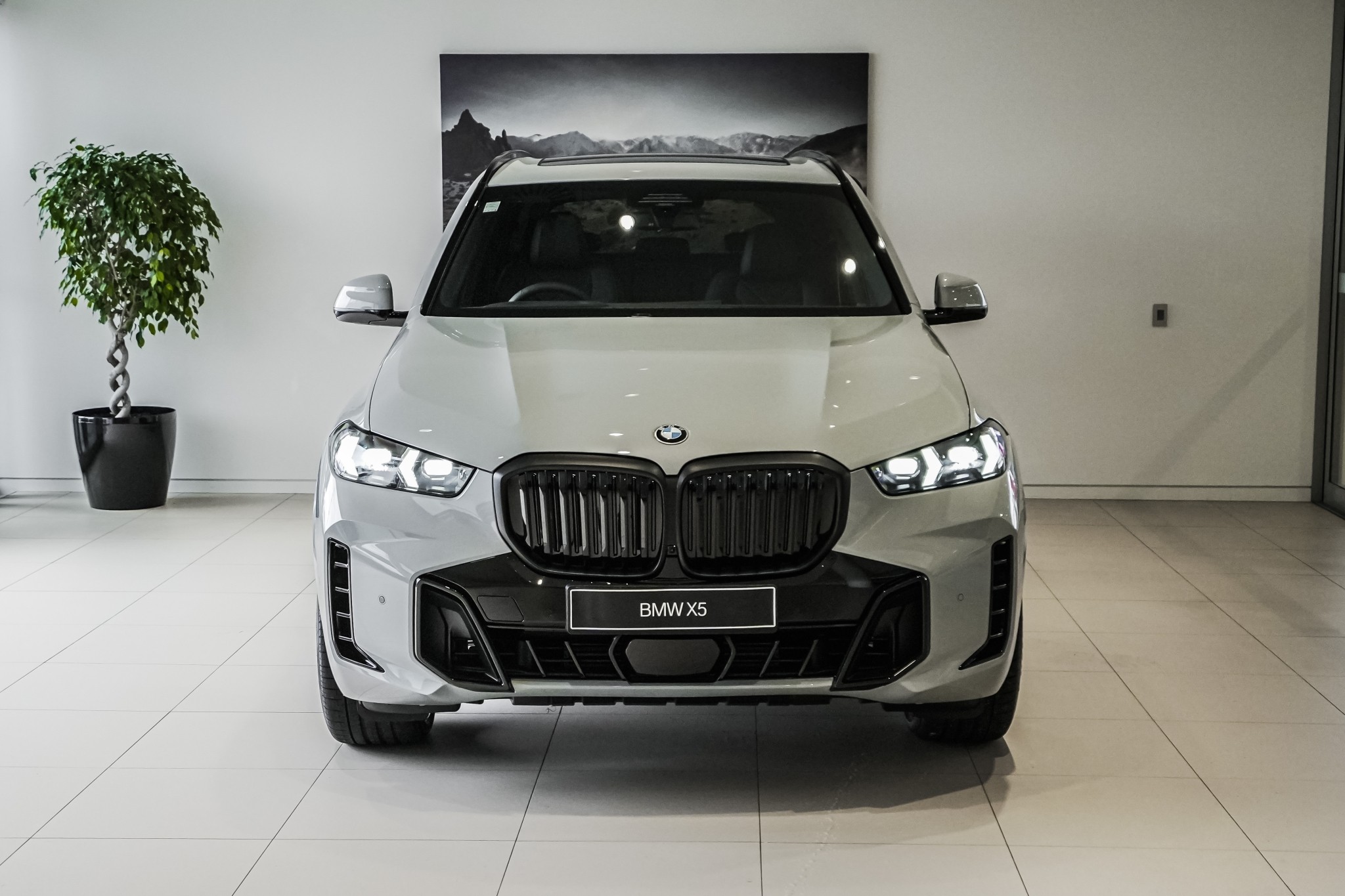 BMW X5 xDrive30d