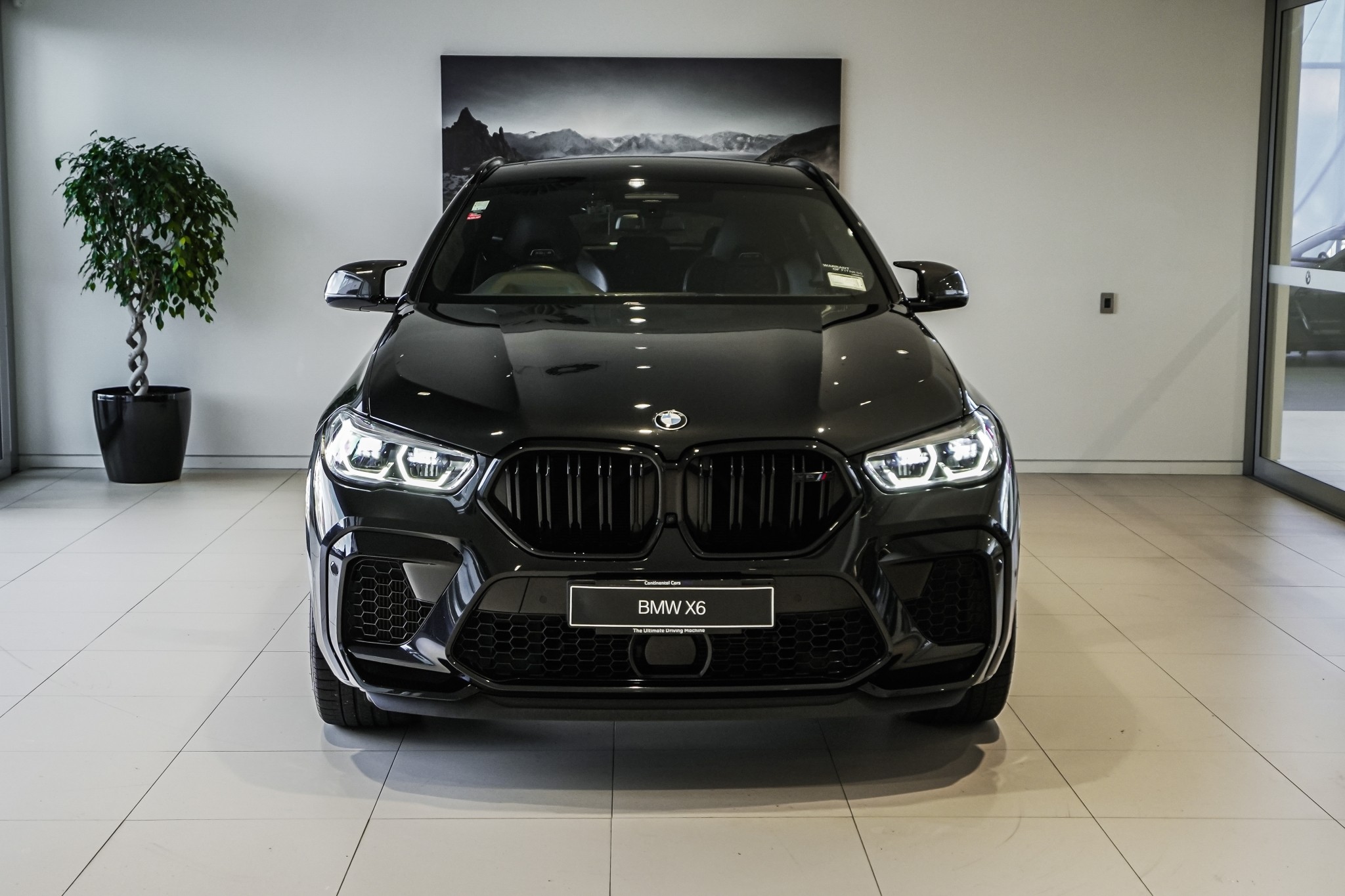 BMW X6 M Comp 4.4Pt/4Wd/8At