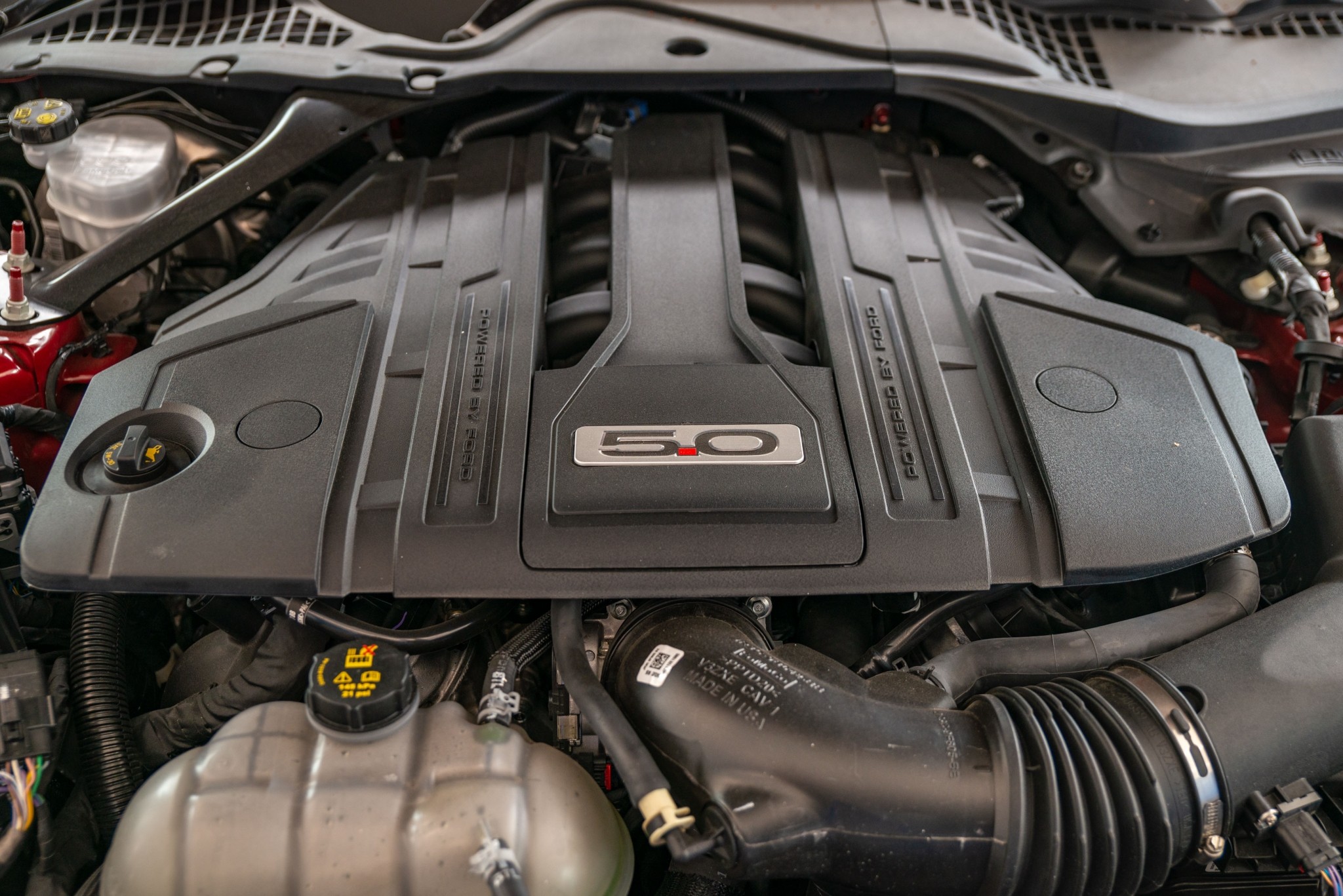2022 Ford Mustang 5.0L Fastback Manual 5.0