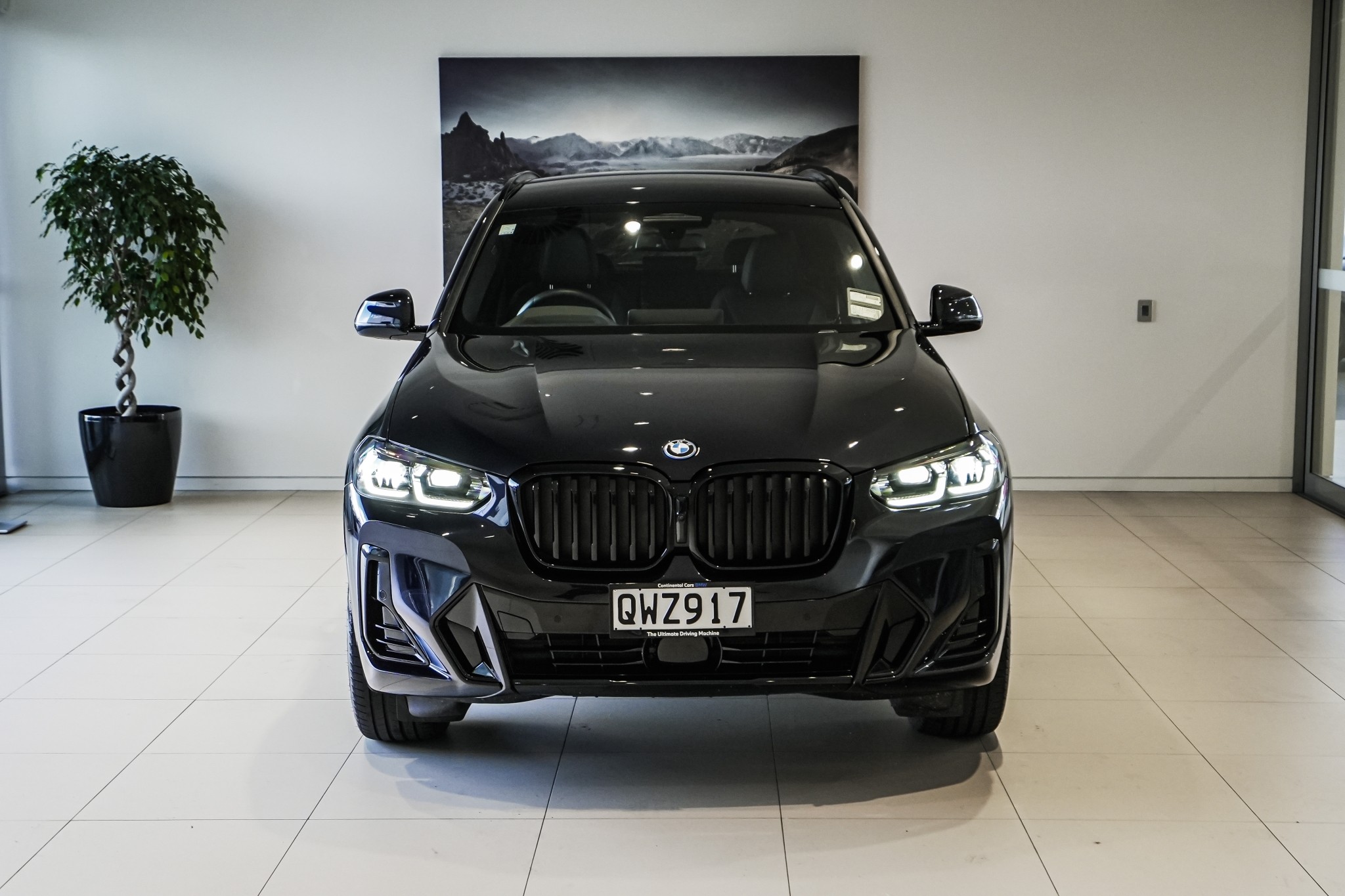 BMW X3 xDrive30e