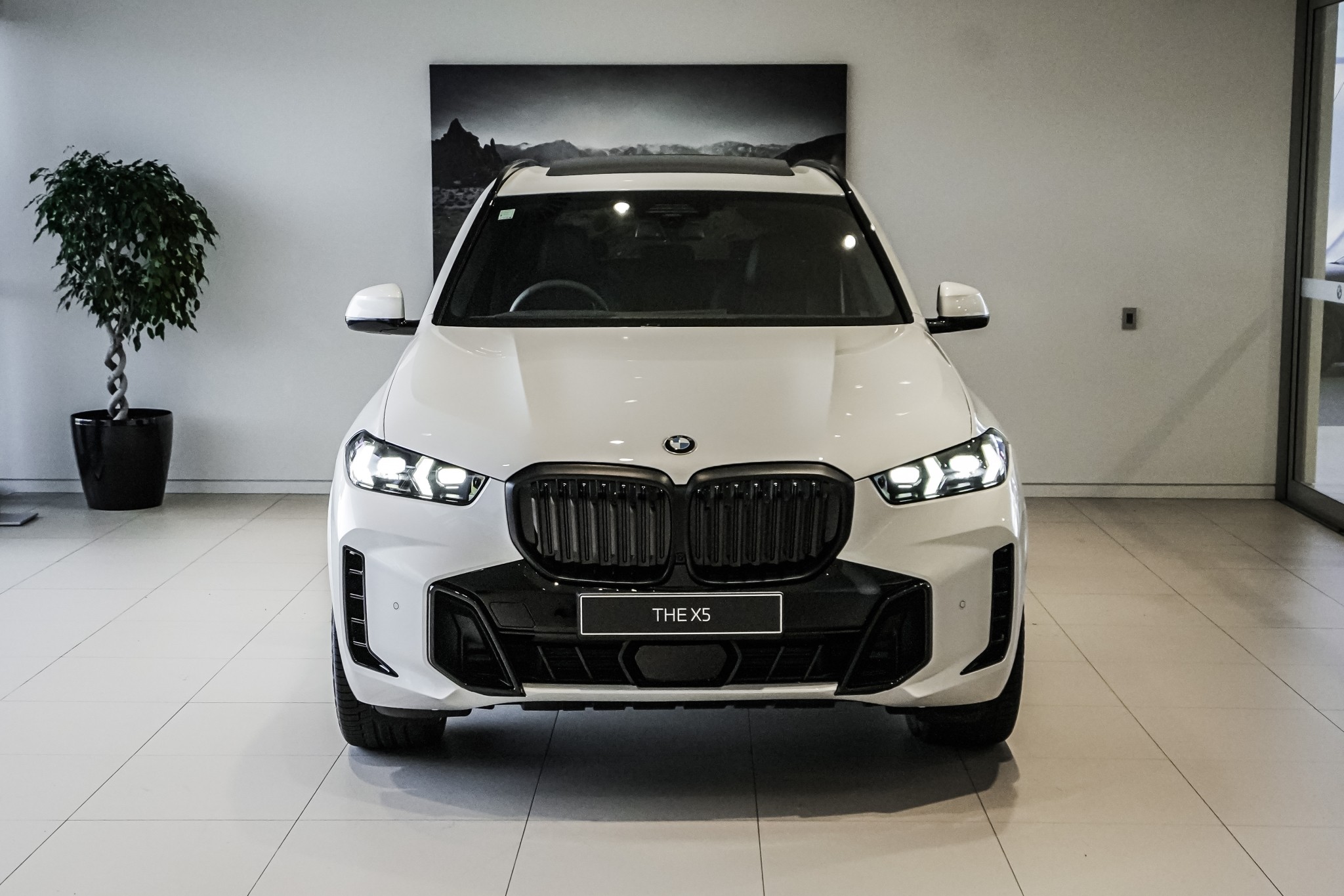 BMW X5 xDrive30d