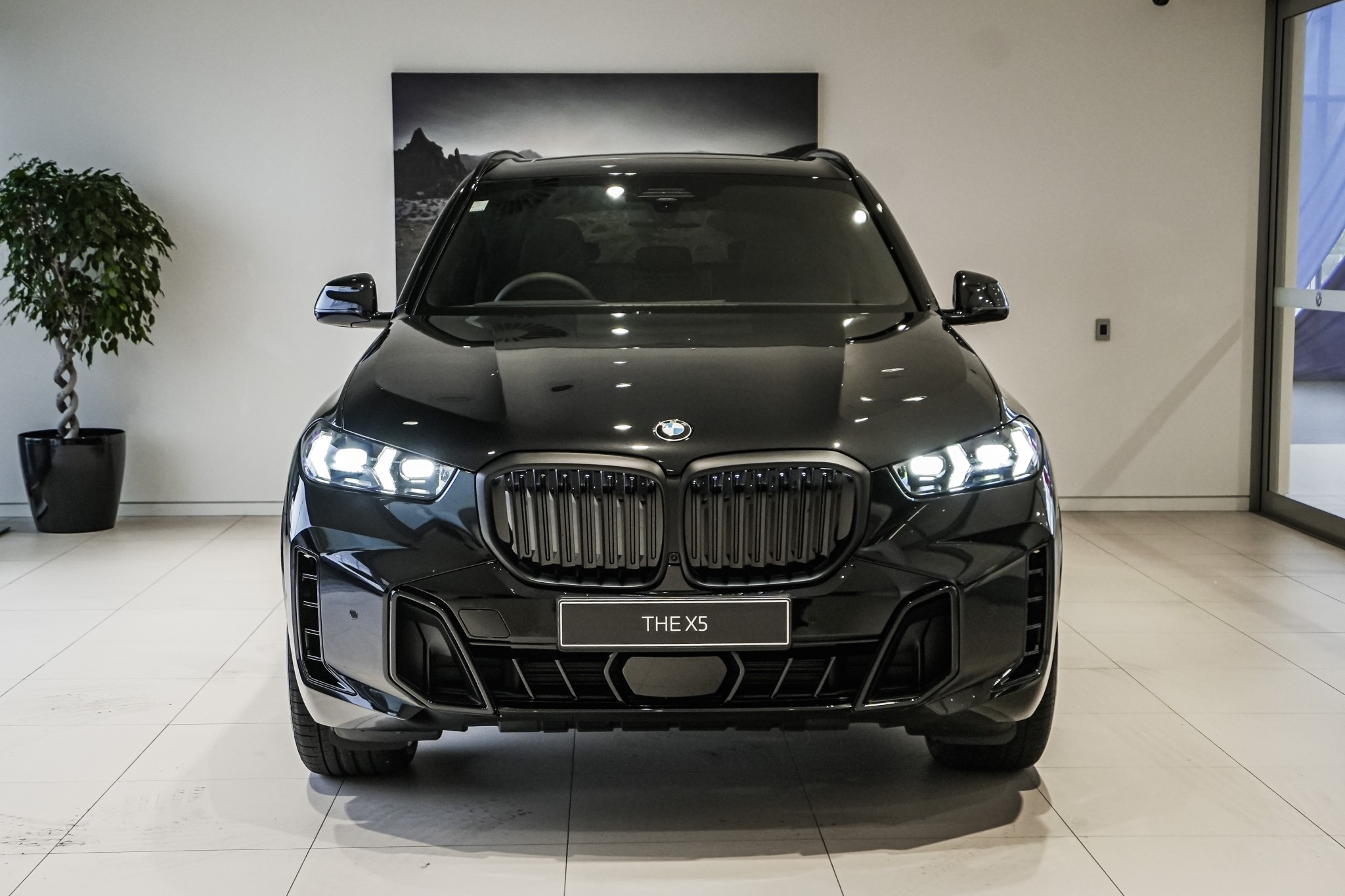 BMW X5 xDrive30d