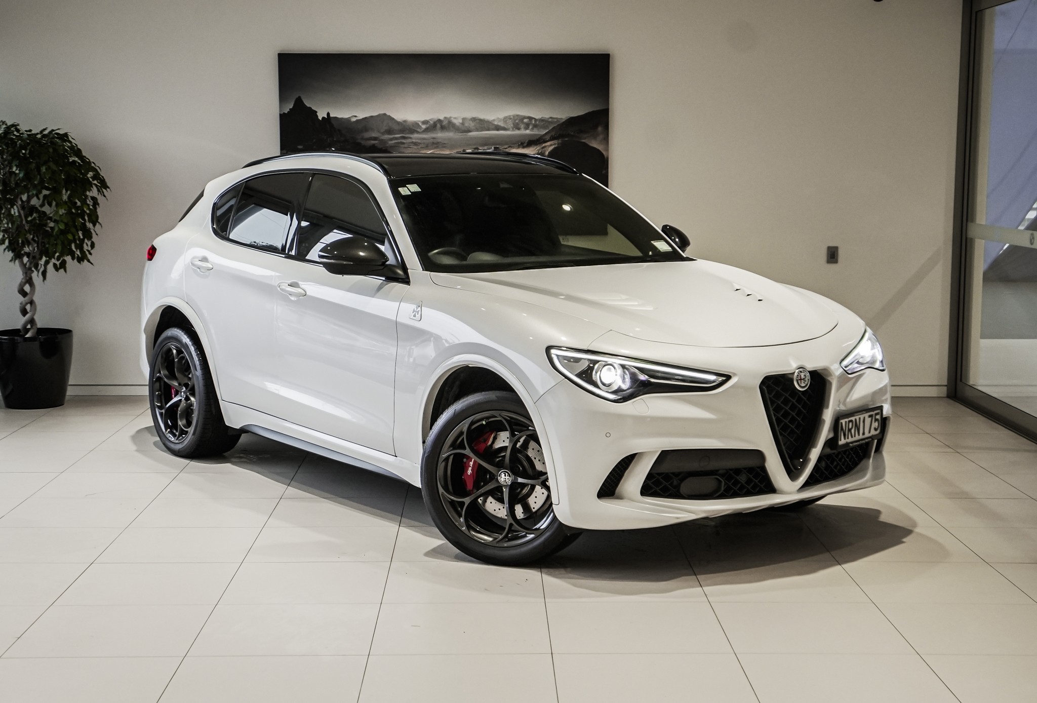 Alfa Romeo Stelvio Quadrifoglio 2.9P