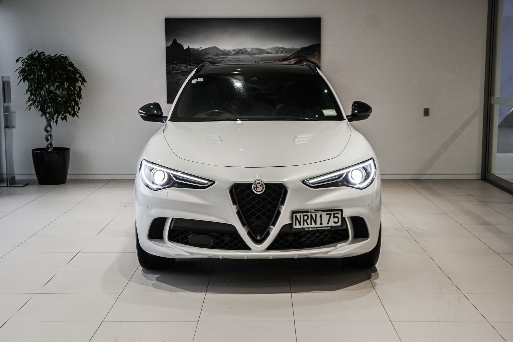 Alfa Romeo Stelvio Quadrifoglio 2.9P