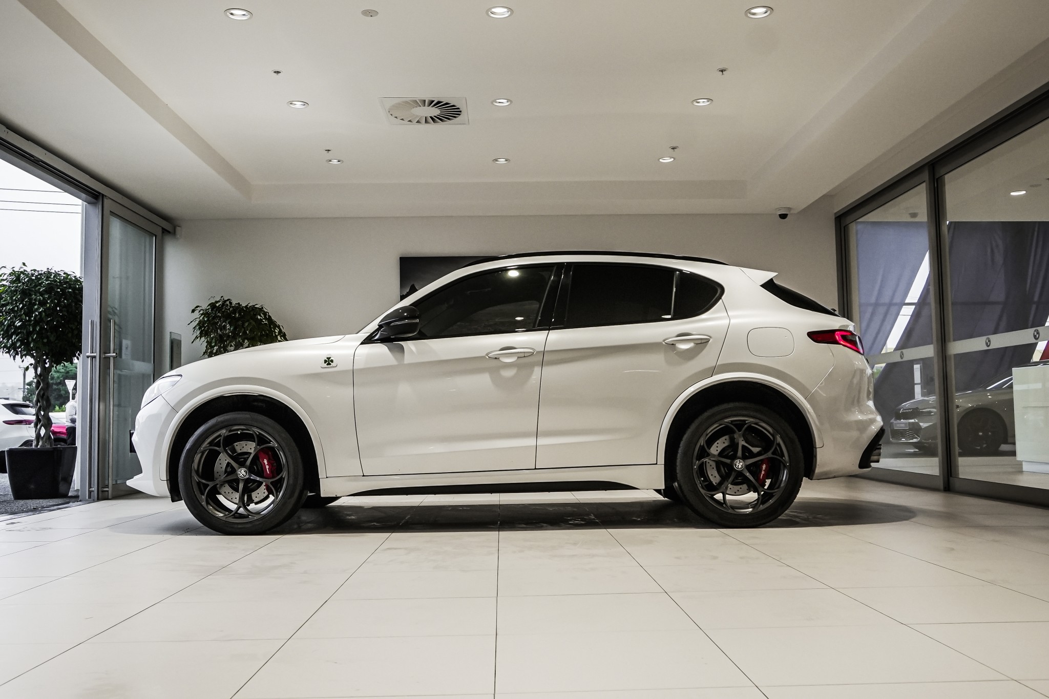 Alfa Romeo Stelvio Quadrifoglio 2.9P