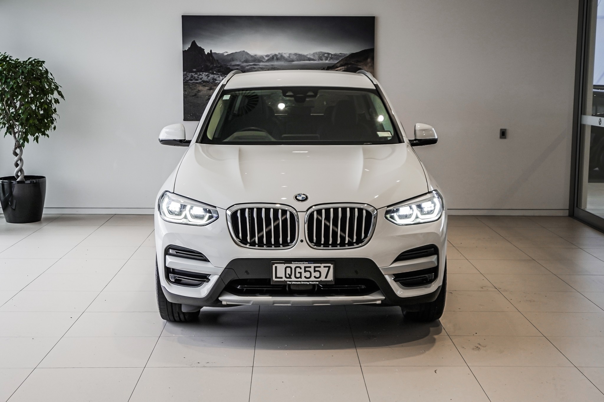 BMW X3 xDrive30i xLine