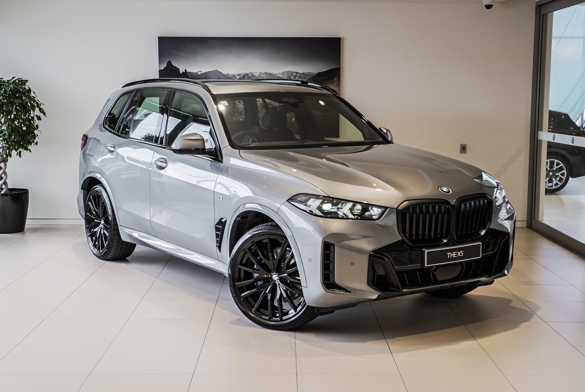 BMW X5 xDrive30d