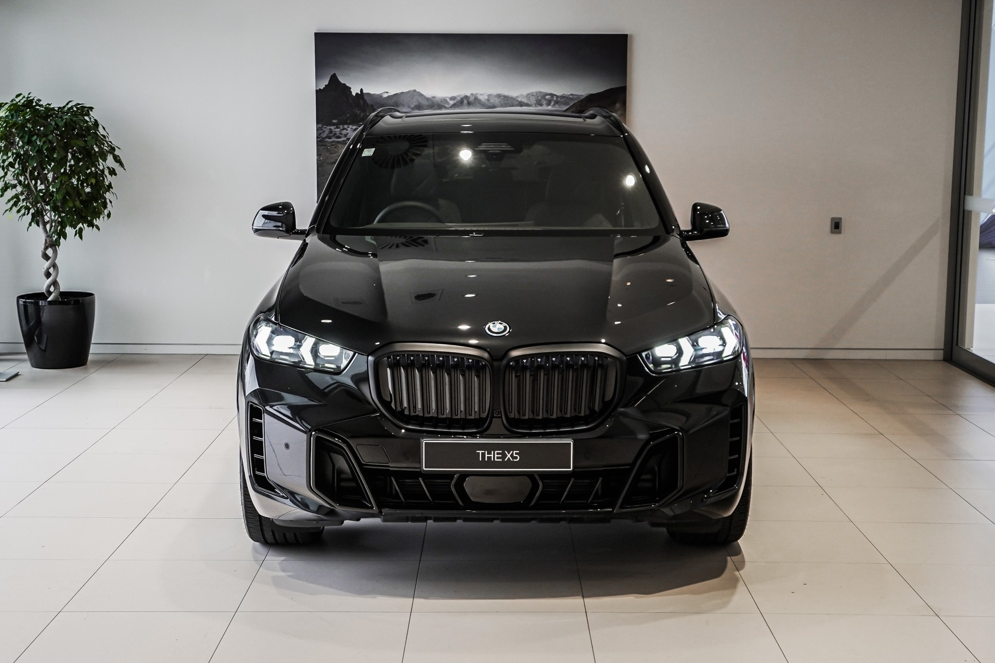 BMW X5 xDrive50e