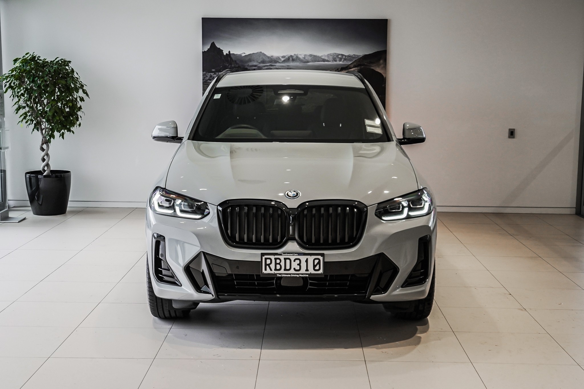BMW X3 xDrive30e