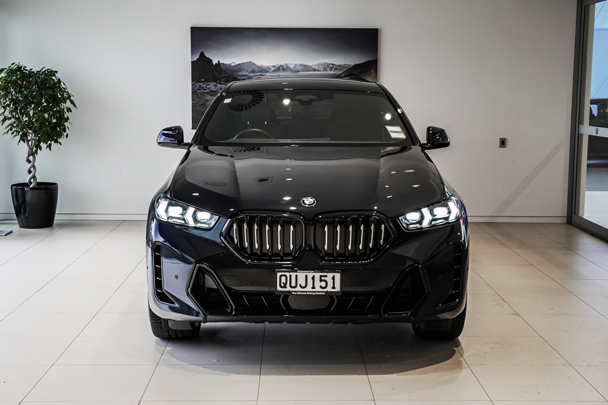 BMW X6 xDrive30d M-Sport