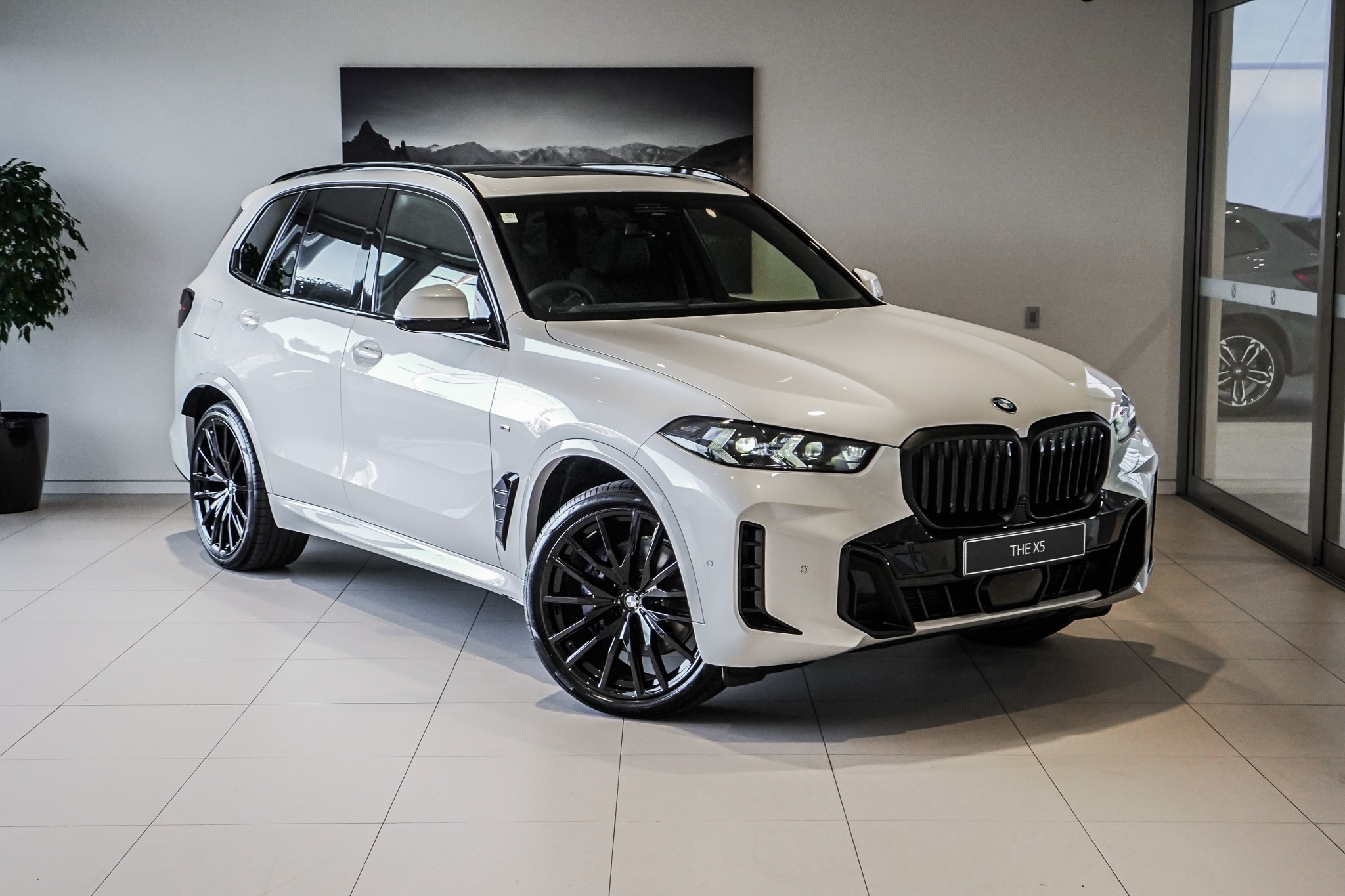 BMW X5 xDrive30d