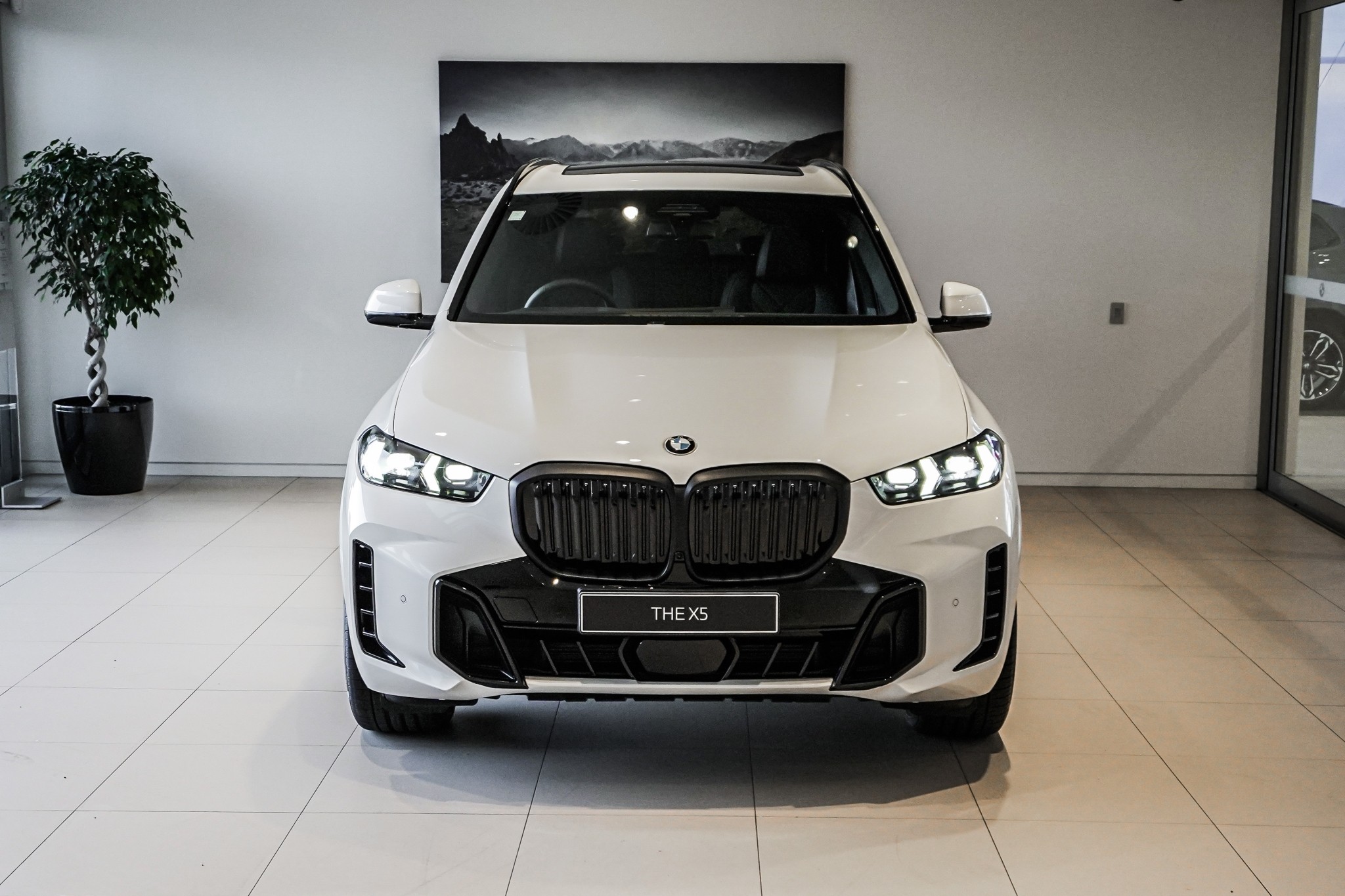 BMW X5 xDrive30d