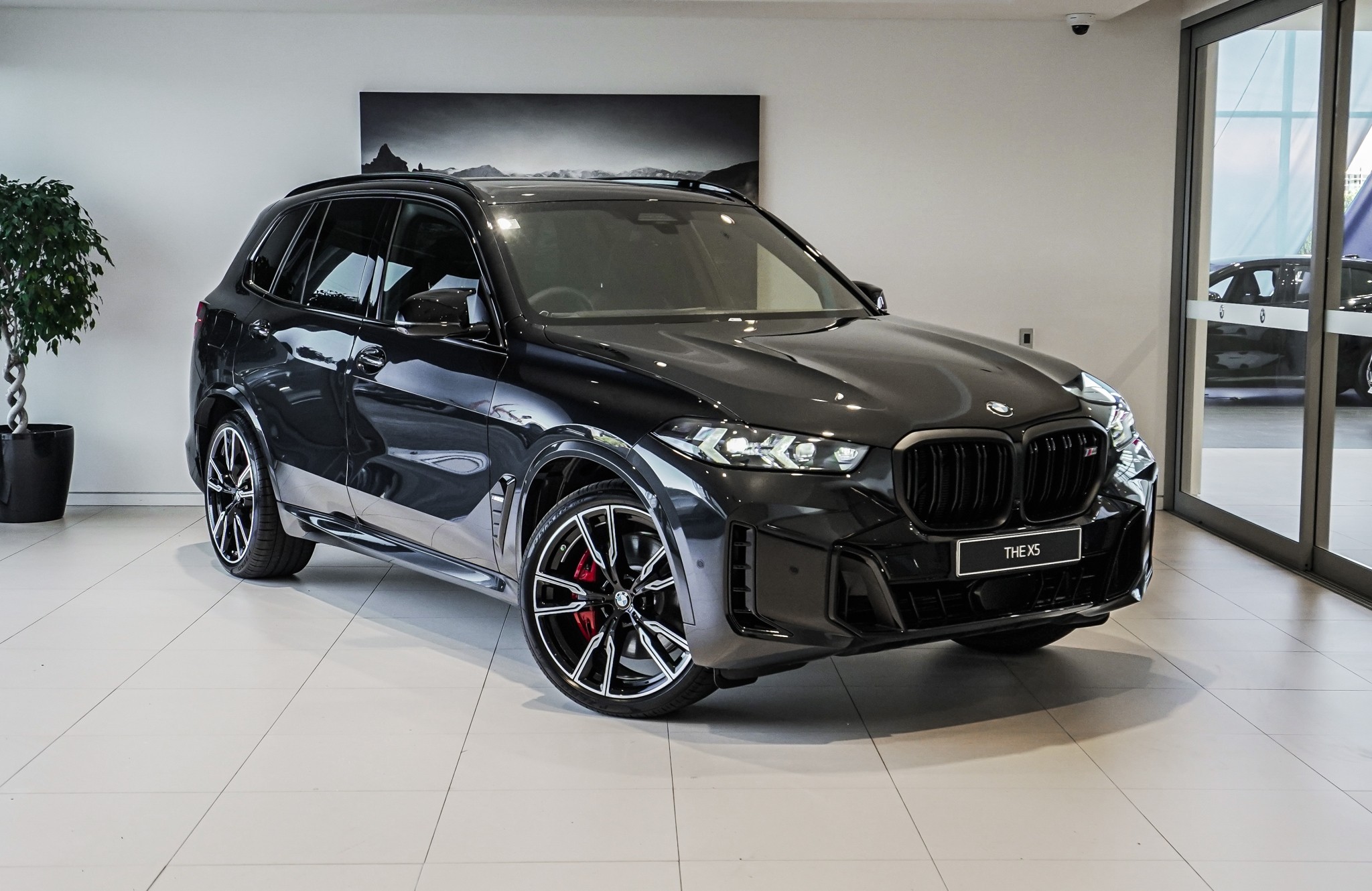 BMW X5 M60i