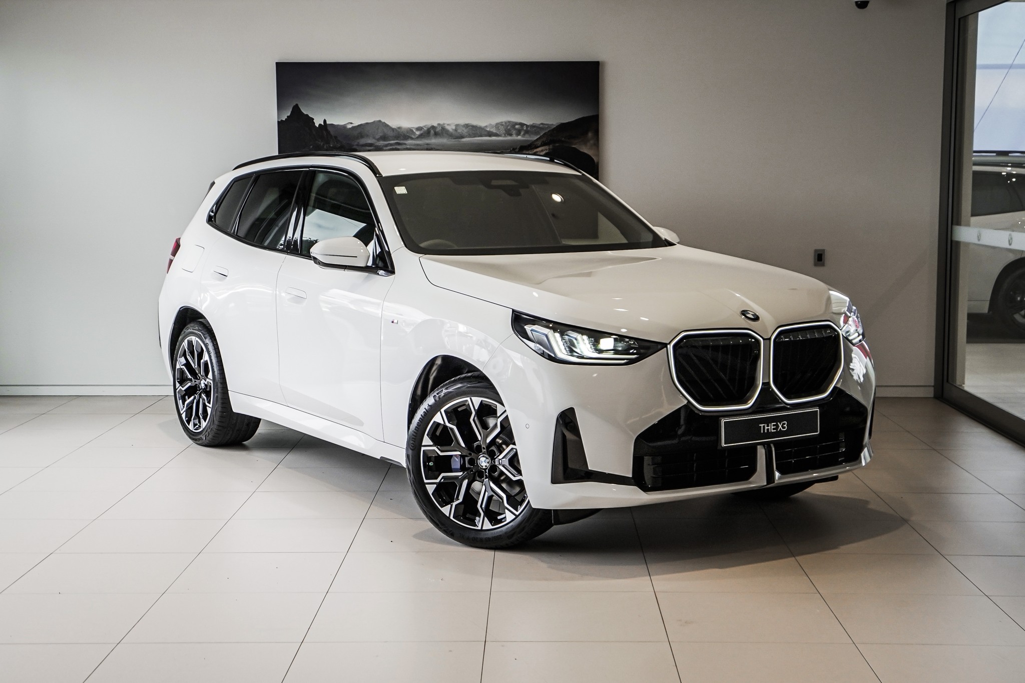 BMW X3 20 xDrive