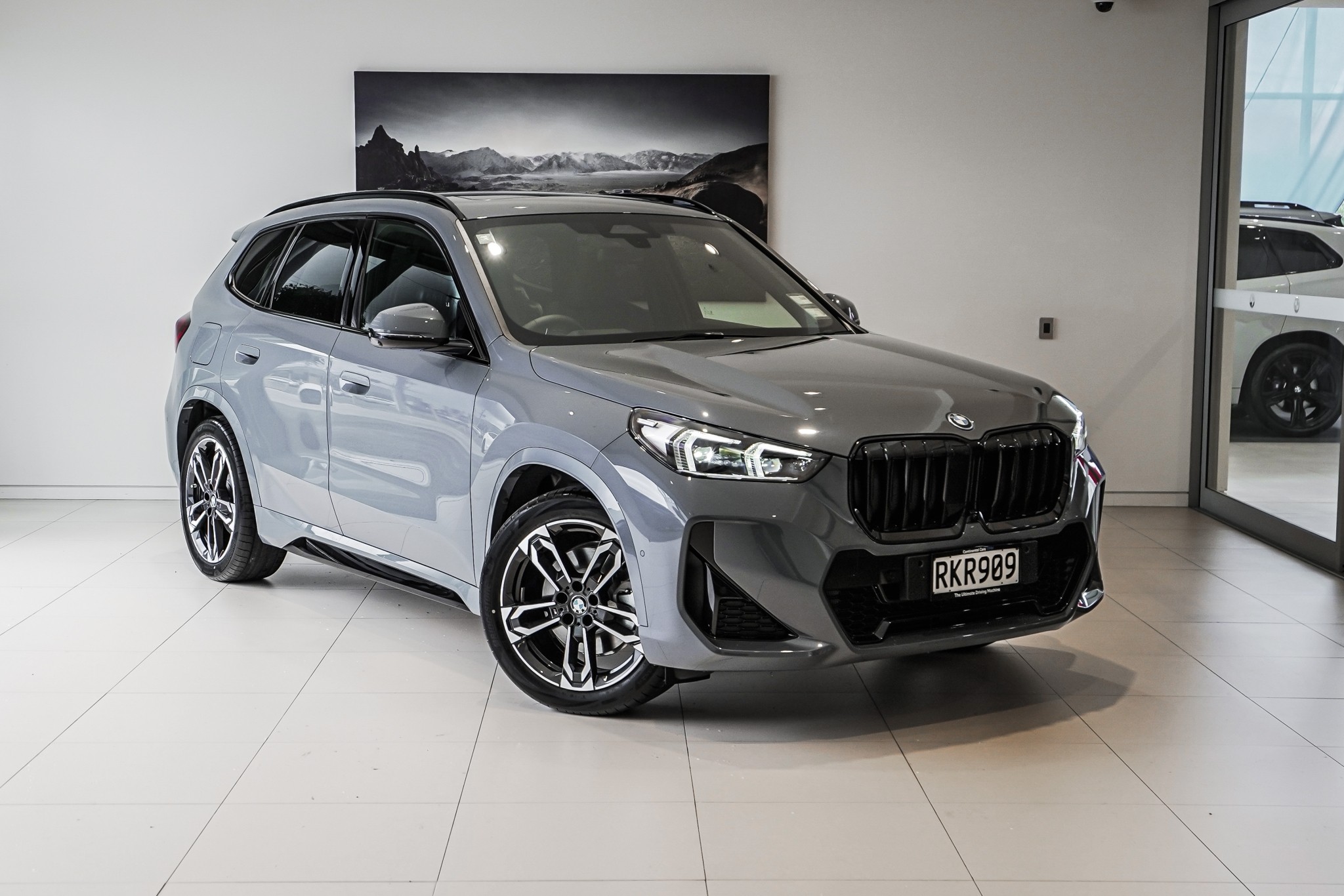 BMW X1 xDrive25e