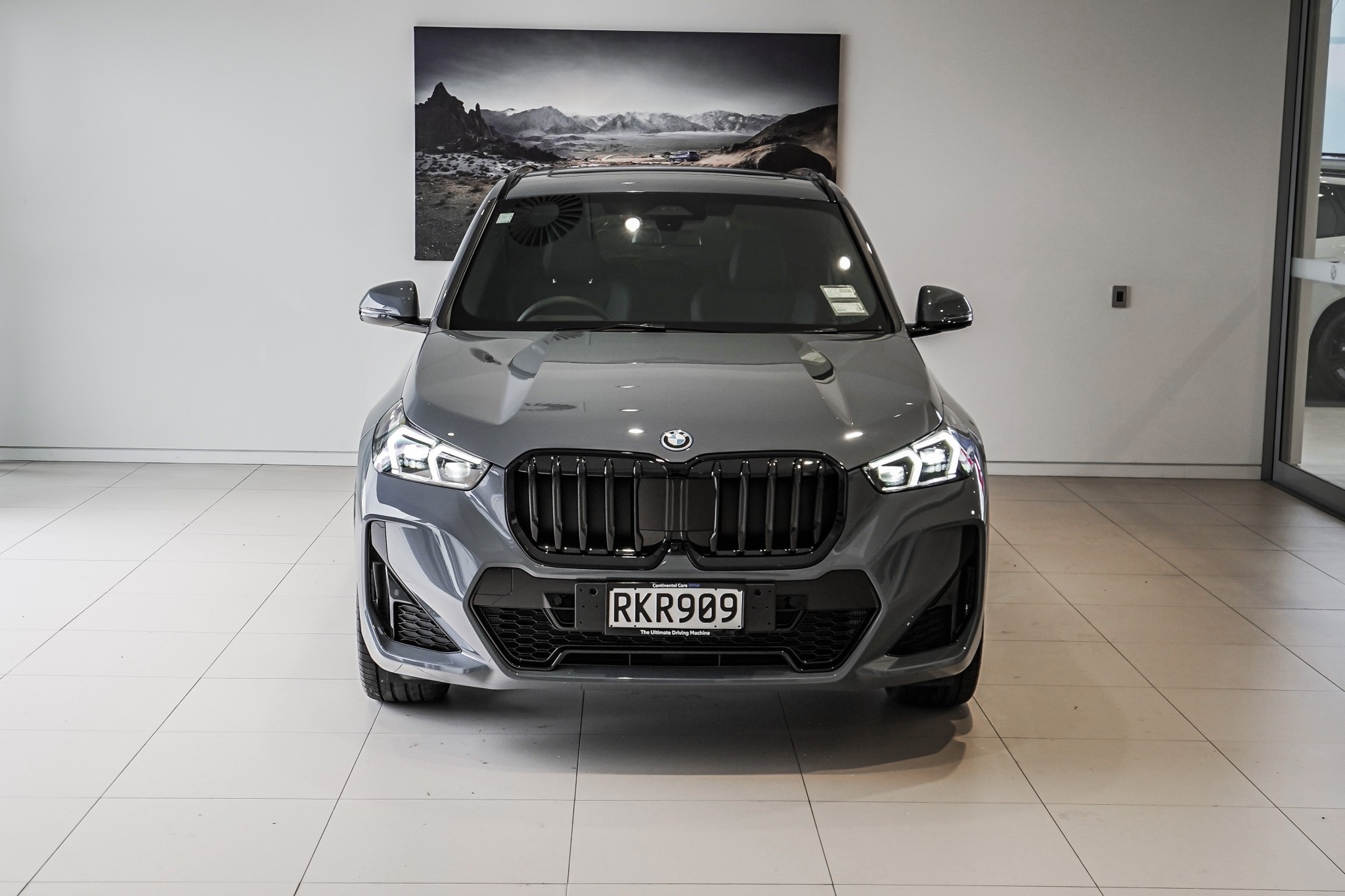 BMW X1 xDrive25e