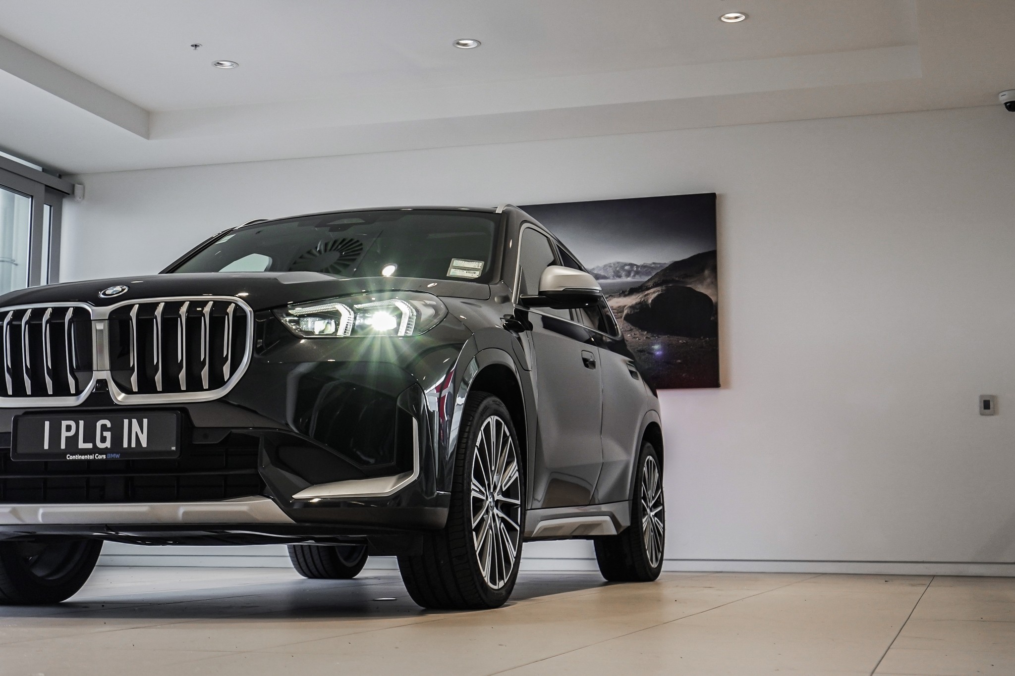 BMW X1 xDrive25e