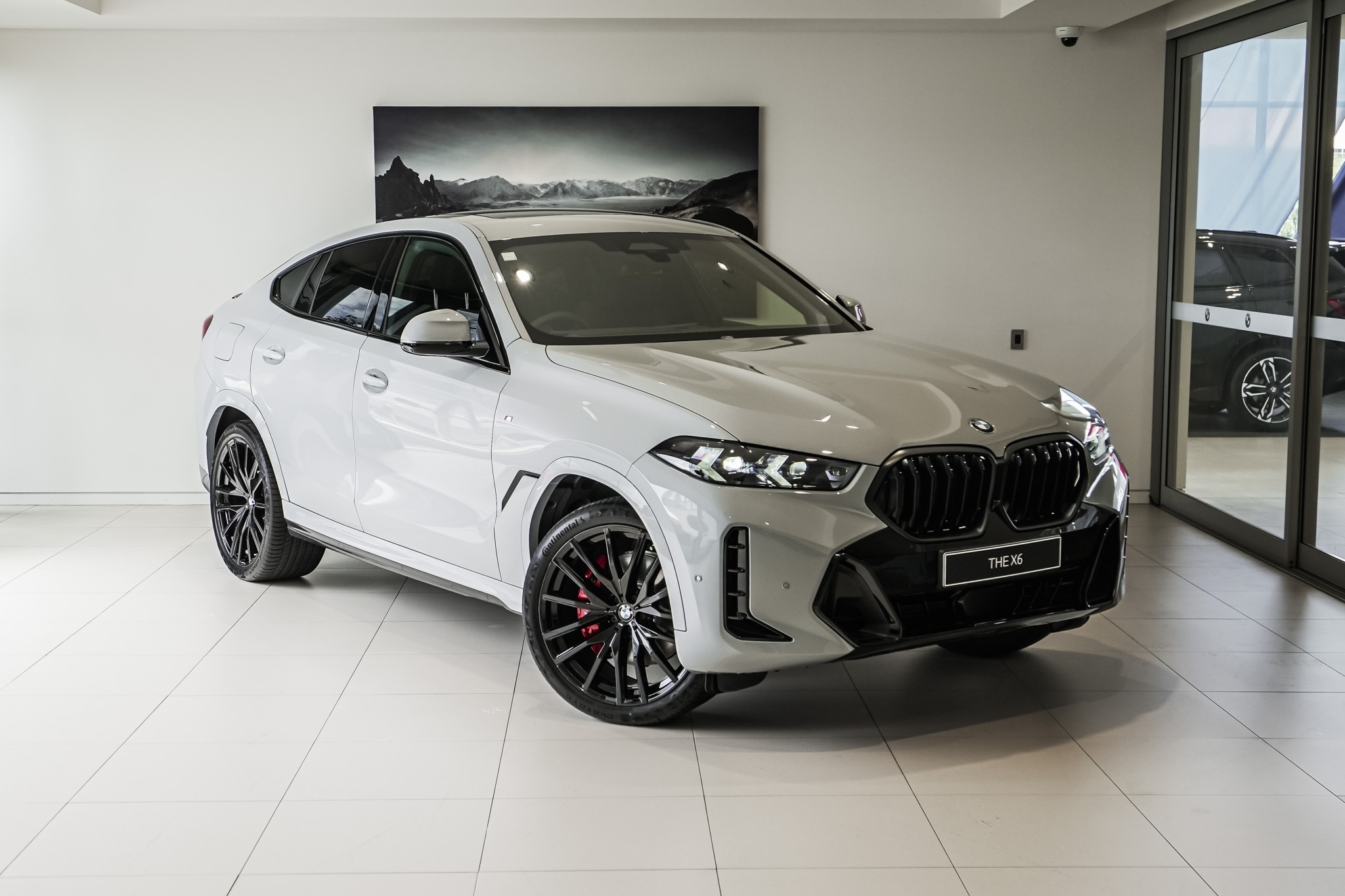 BMW X6 xDrive30d