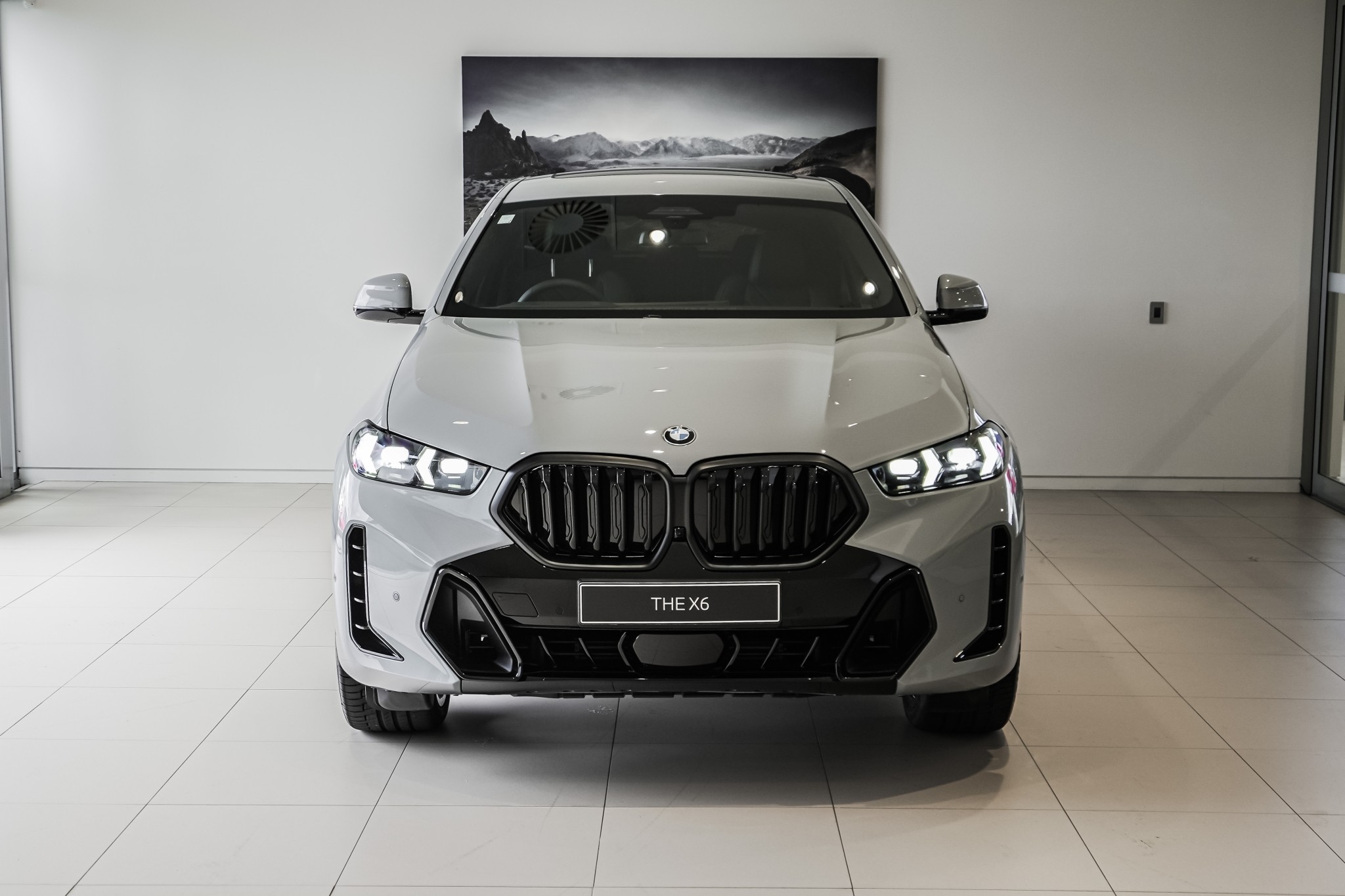 BMW X6 xDrive30d