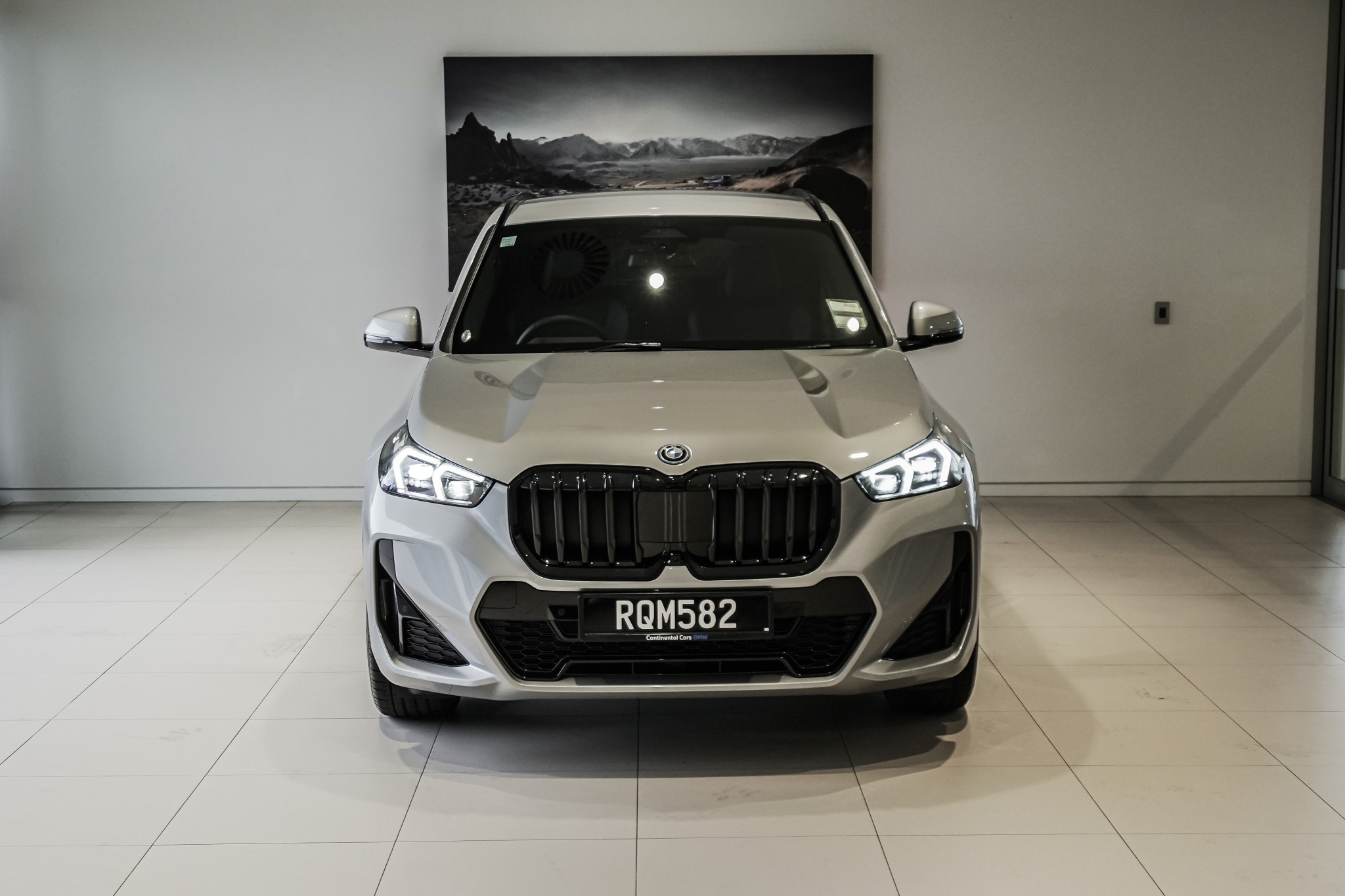 BMW X1 xDrive25e