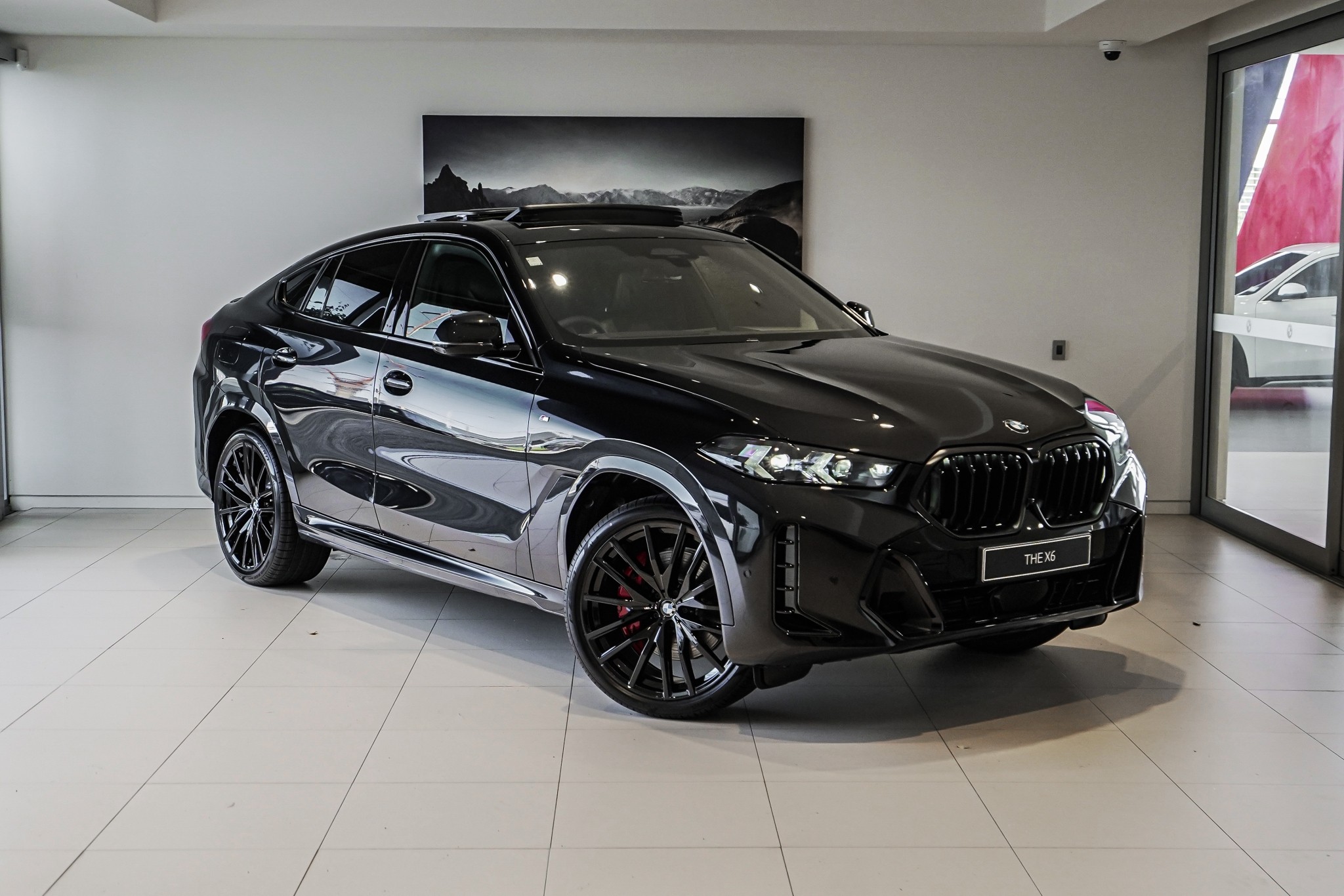 BMW X6 12EY xDrive30d