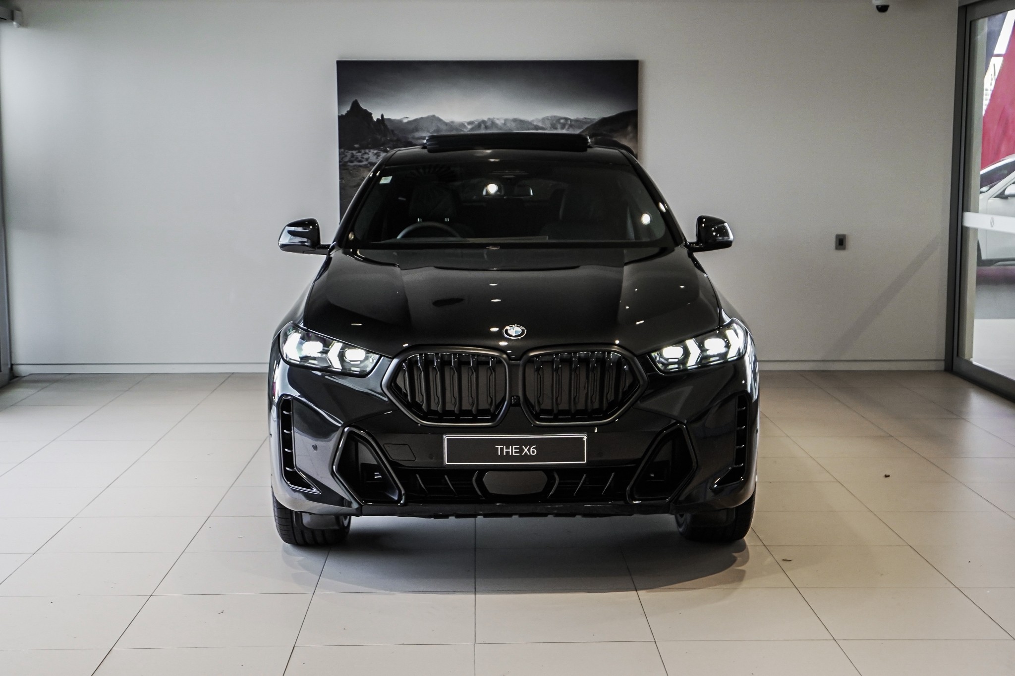 BMW X6 12EY xDrive30d