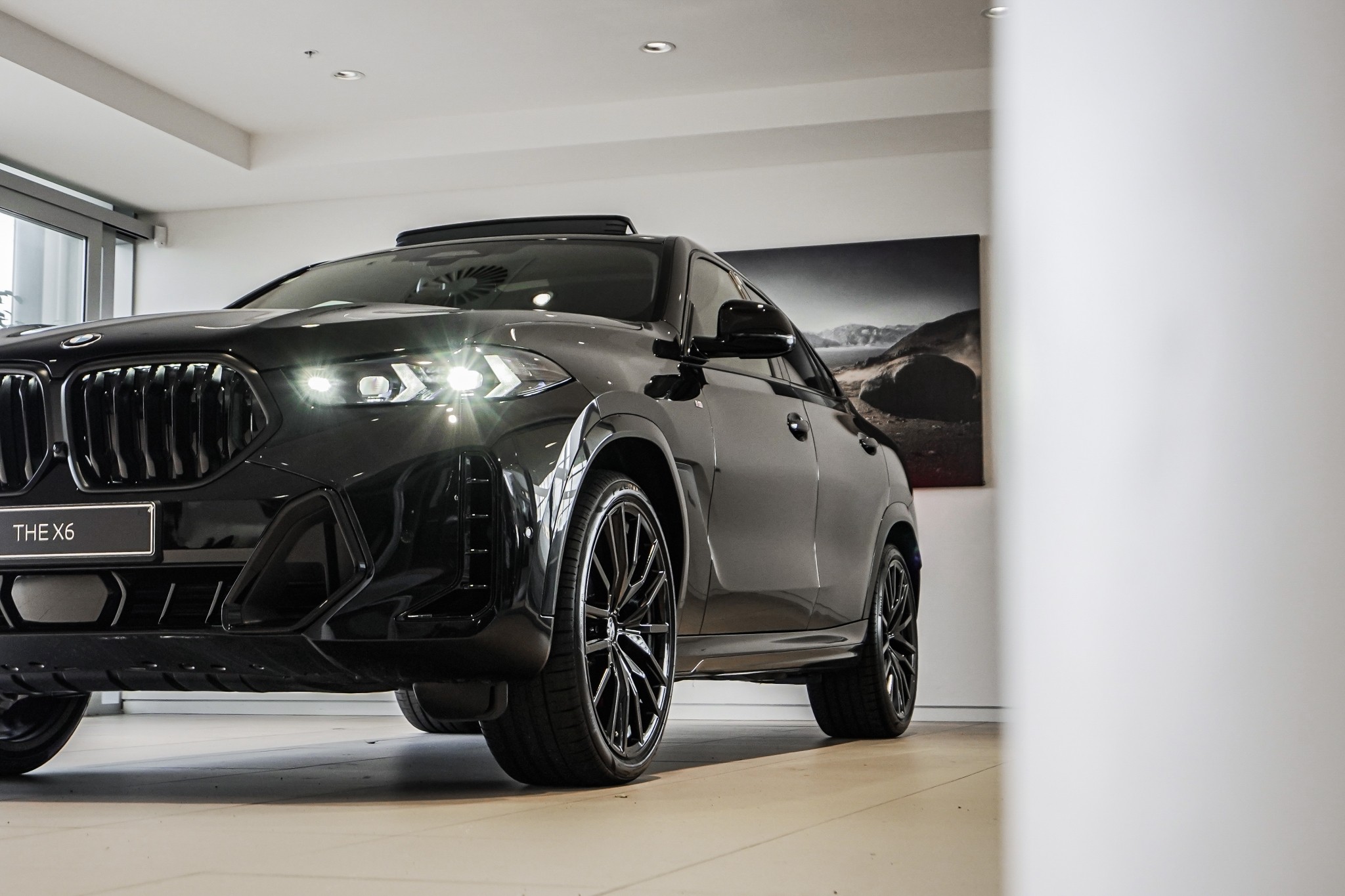 BMW X6 12EY xDrive30d