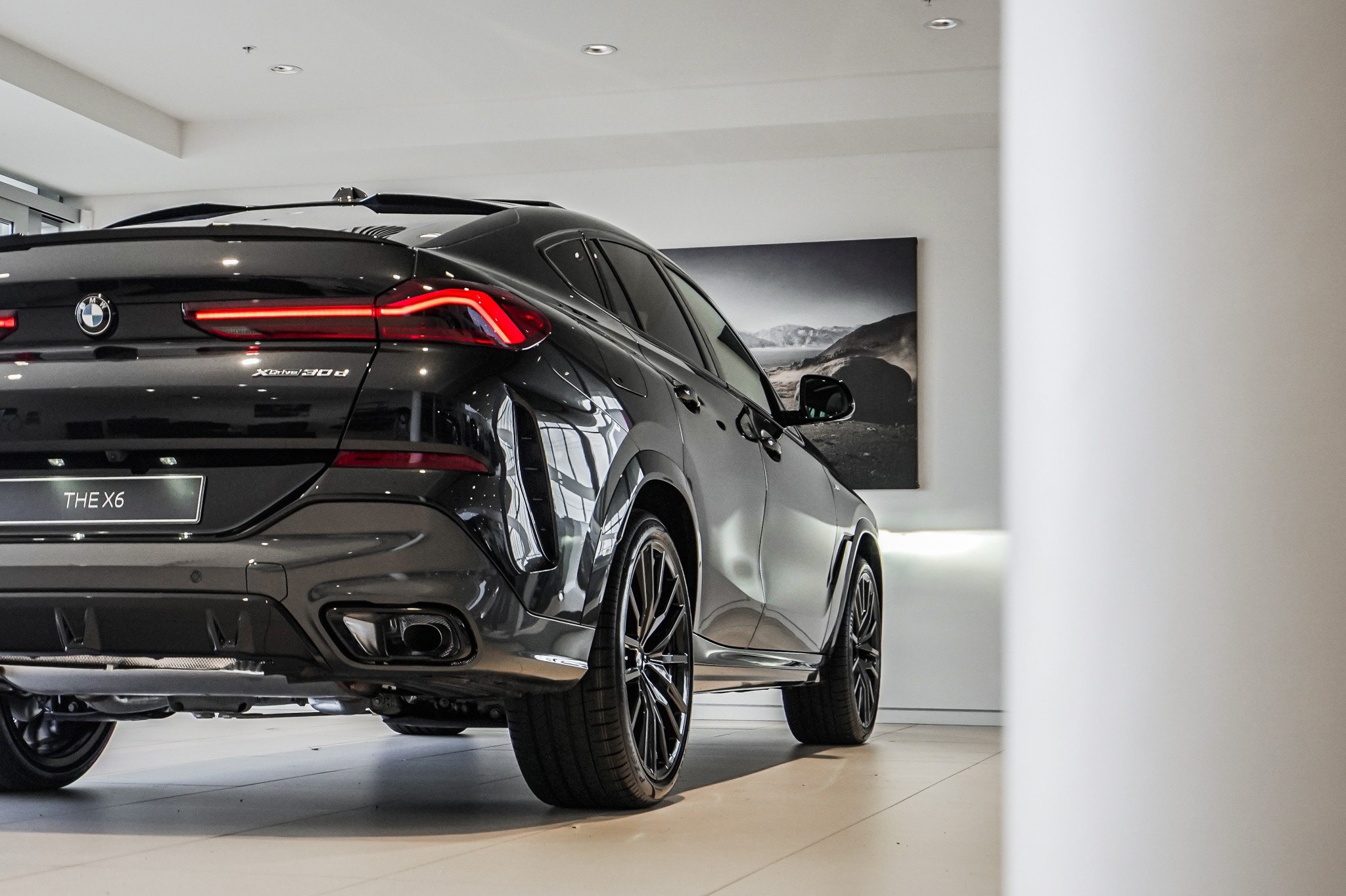 BMW X6 12EY xDrive30d